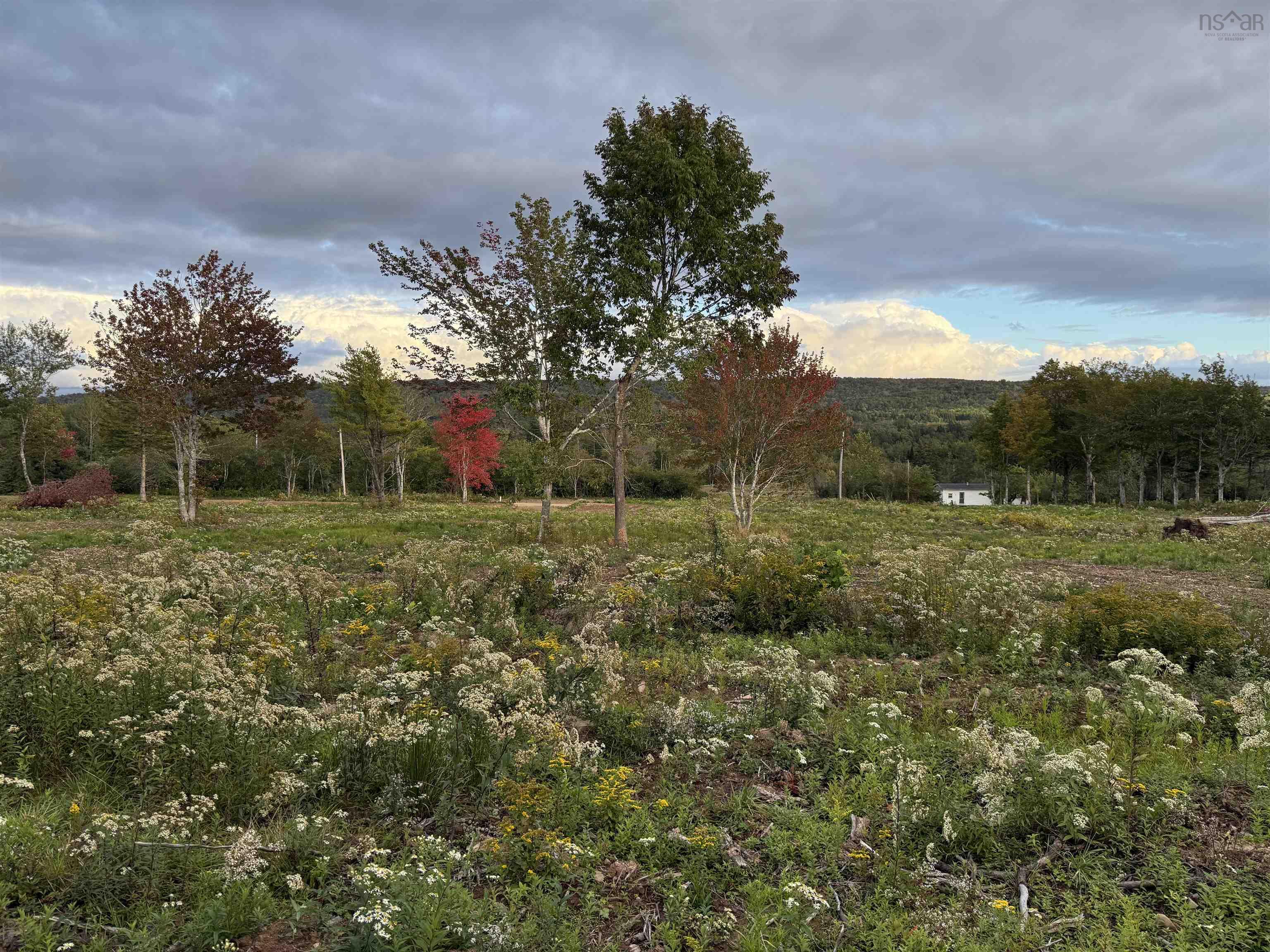 $19,900.00: Lot 26 Mull River Road, Mabou