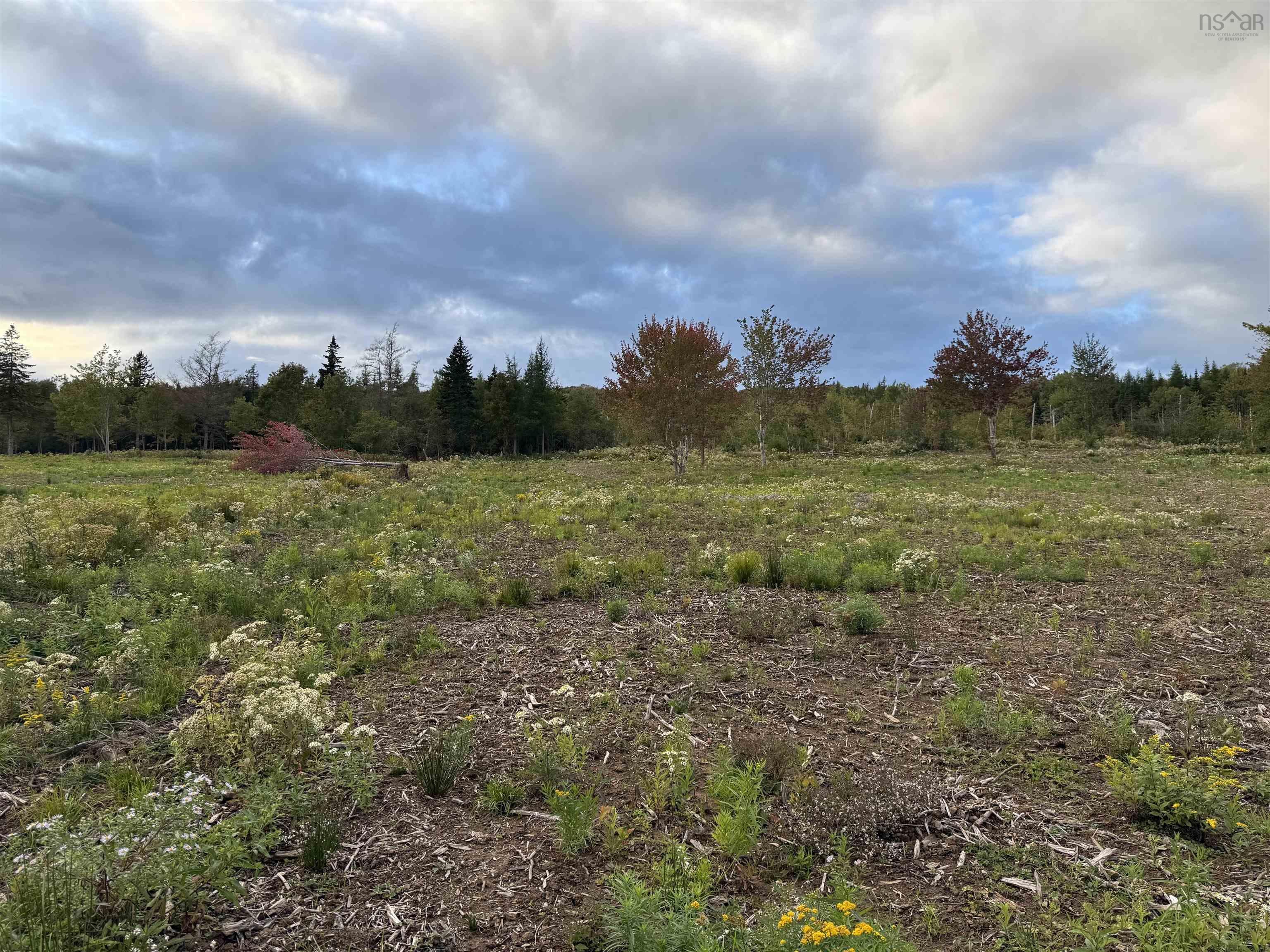 $19,900.00: Lot 26 Mull River Road, Mabou