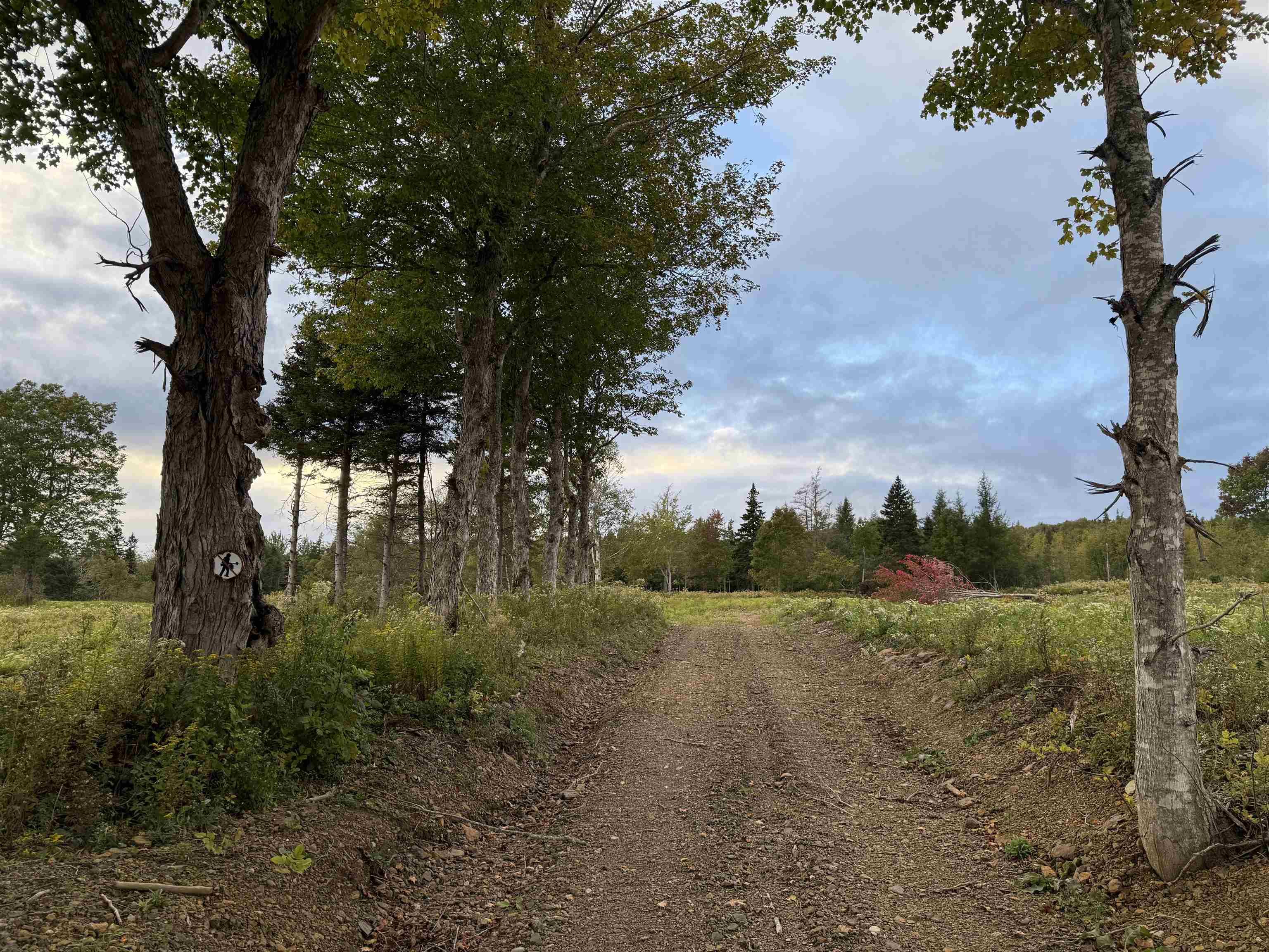 $22,000.00: Lot 27 Mull River Road, Mabou