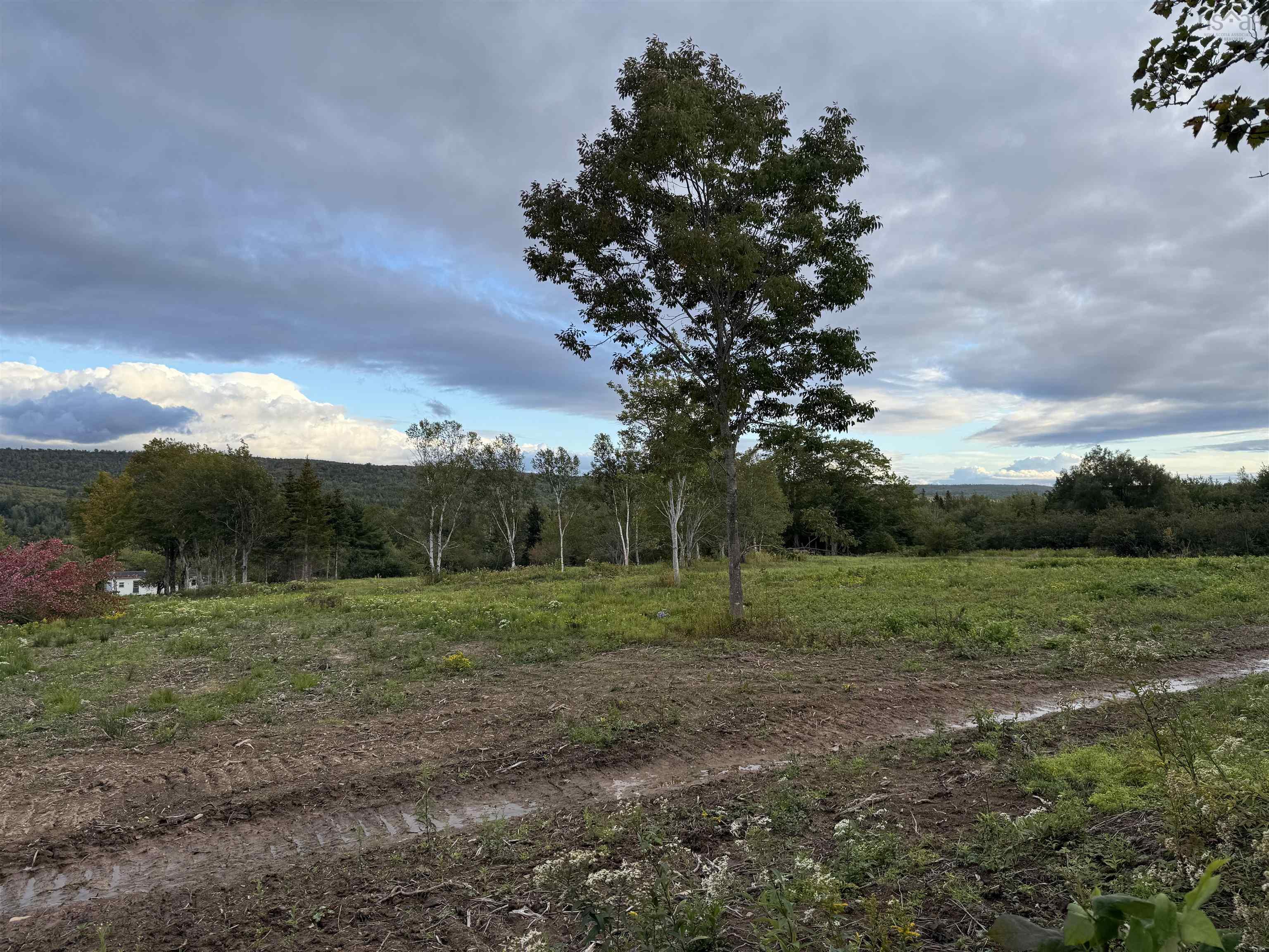 $22,000.00: Lot 27 Mull River Road, Mabou