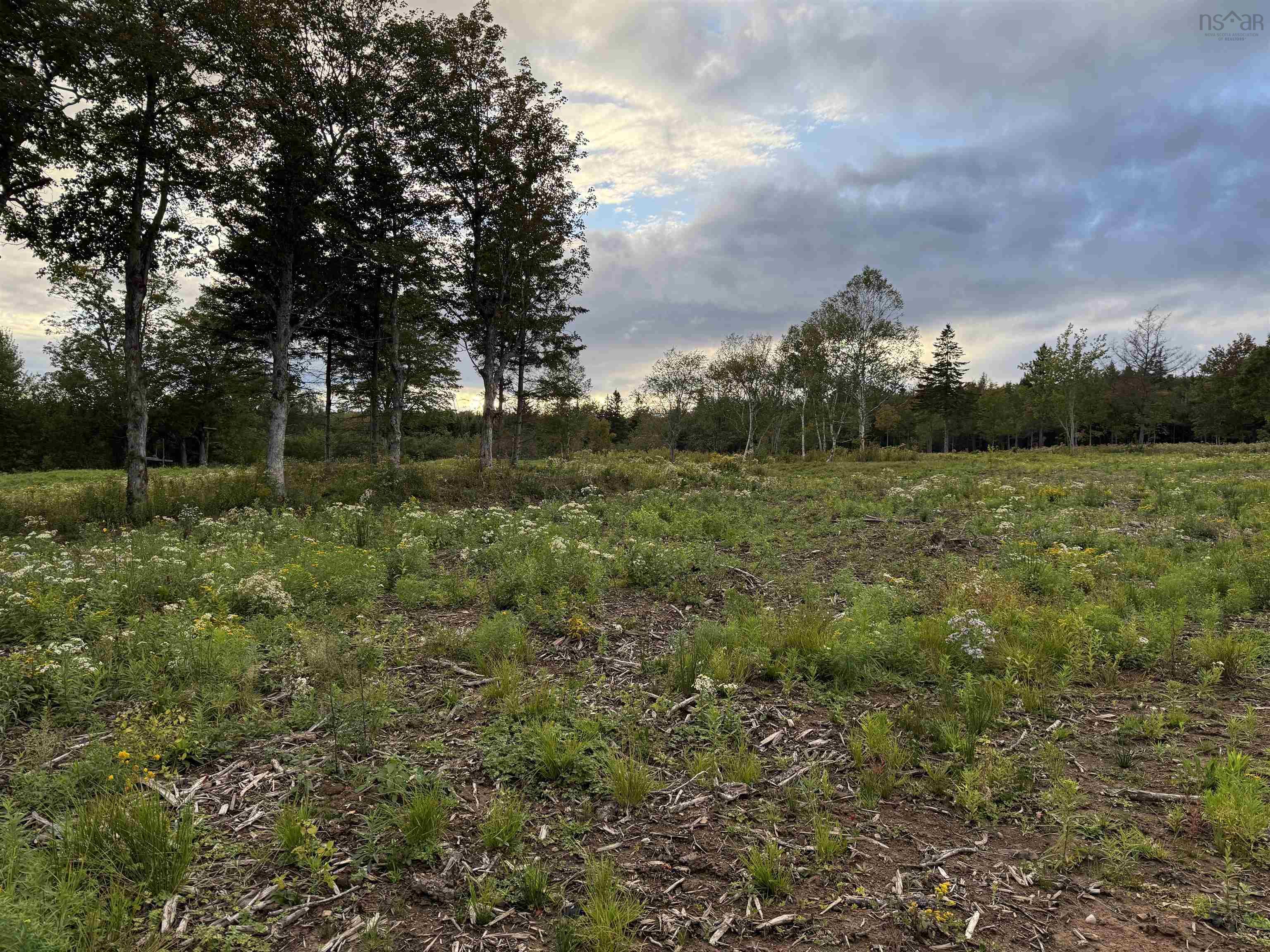 $22,000.00: Lot 27 Mull River Road, Mabou