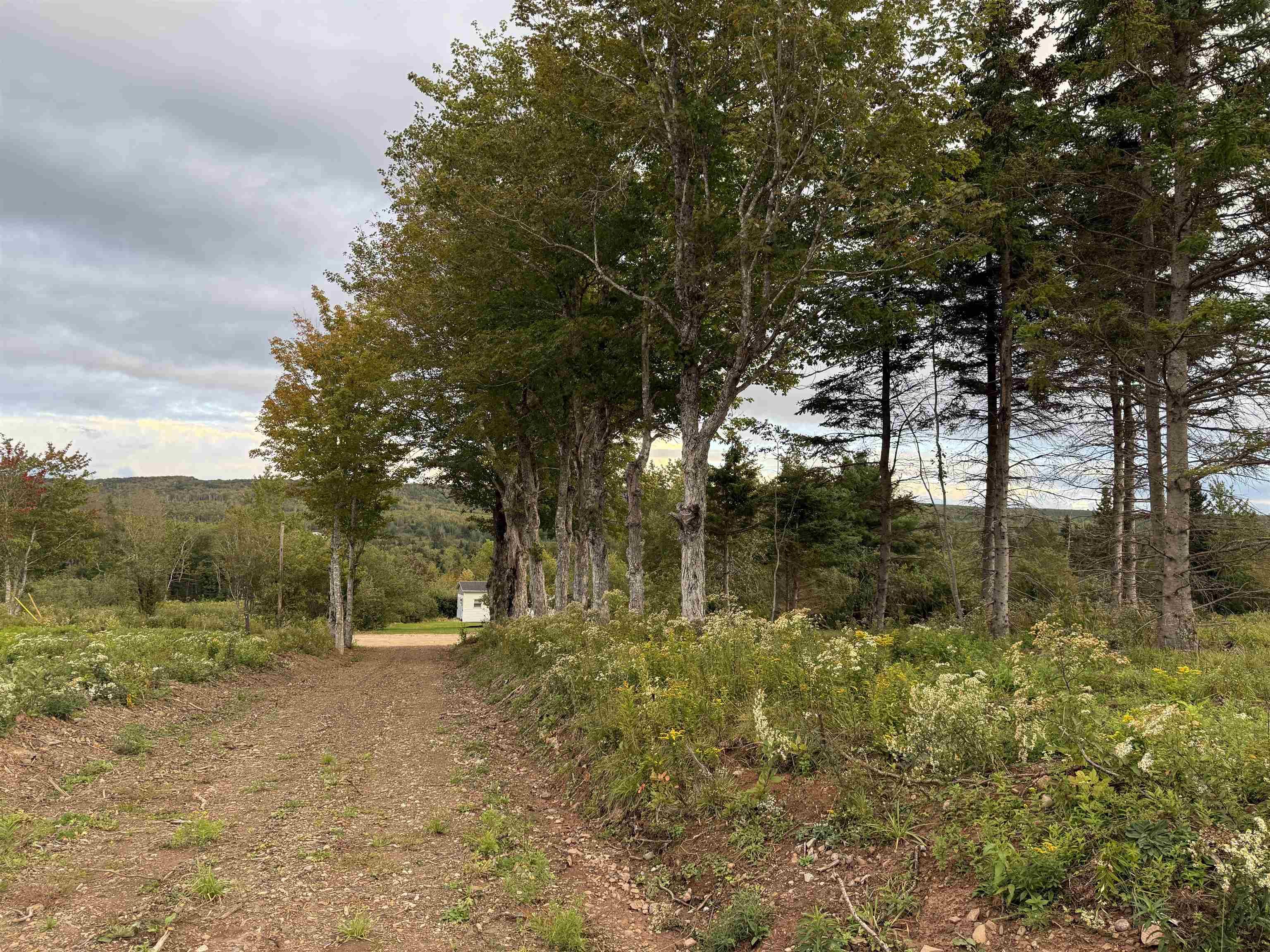 $22,000.00: Lot 27 Mull River Road, Mabou