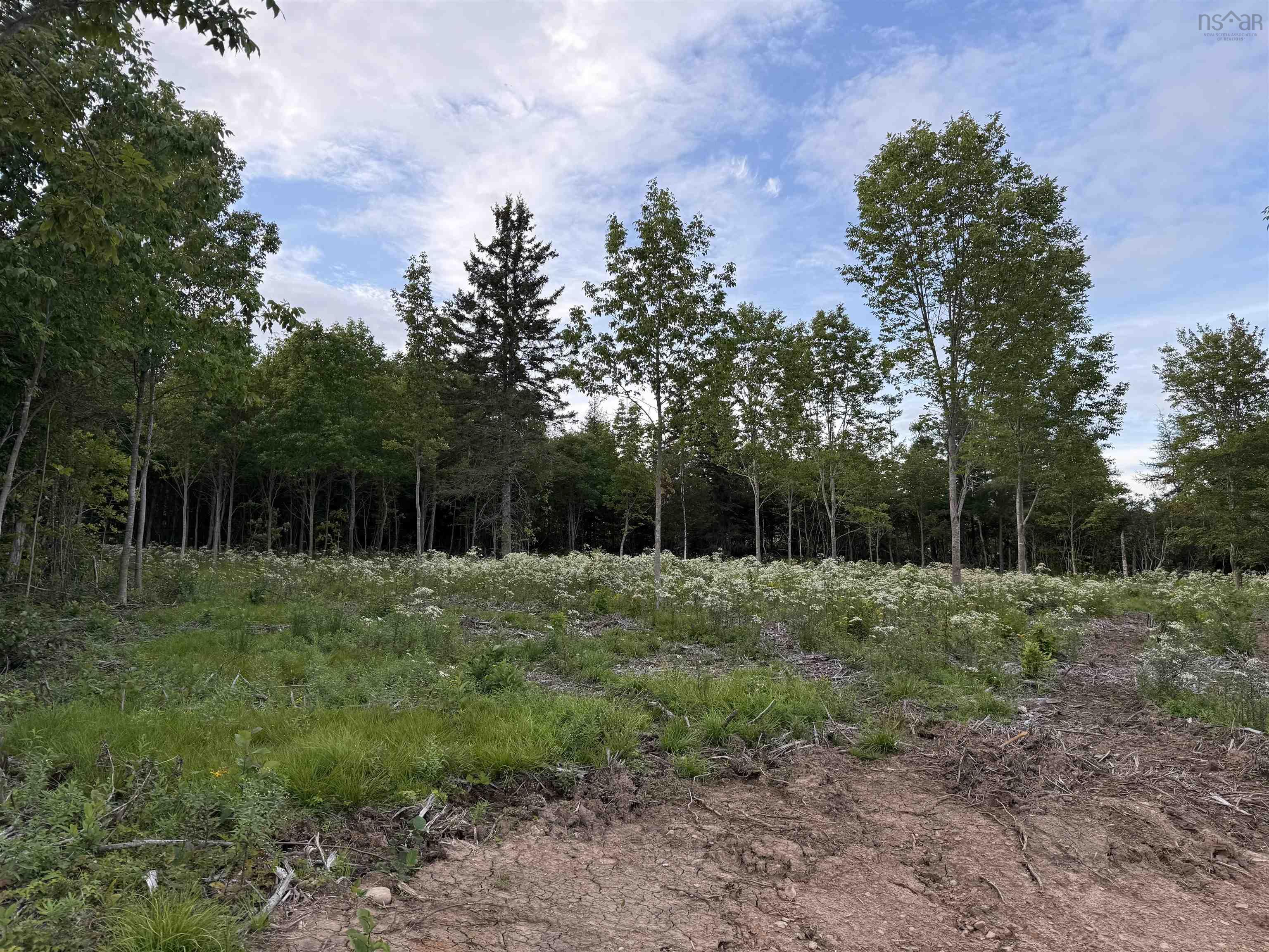 $19,900.00: Lot 28 Mull River Road, Mabou