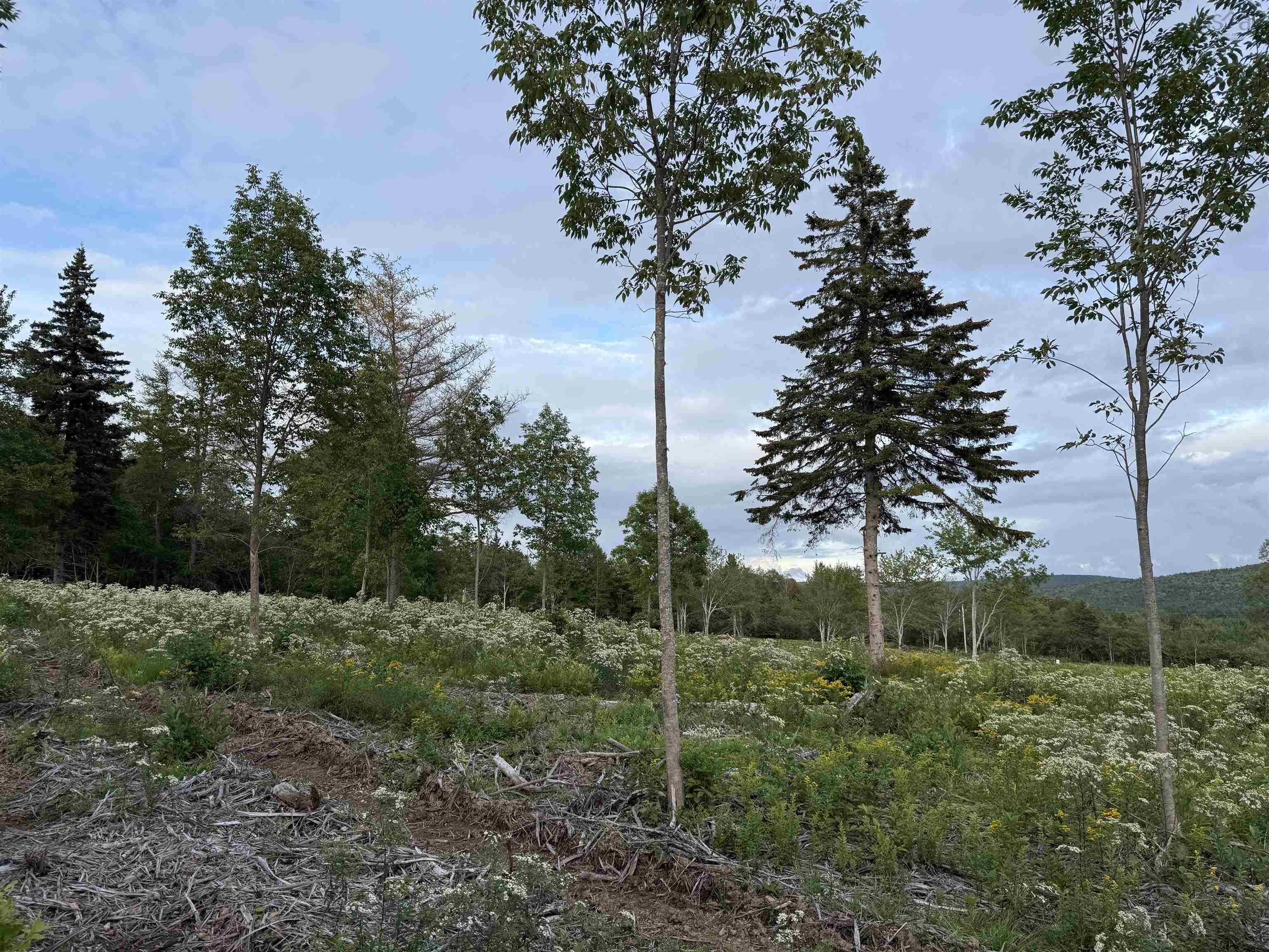 $19,900.00: Lot 28 Mull River Road, Mabou