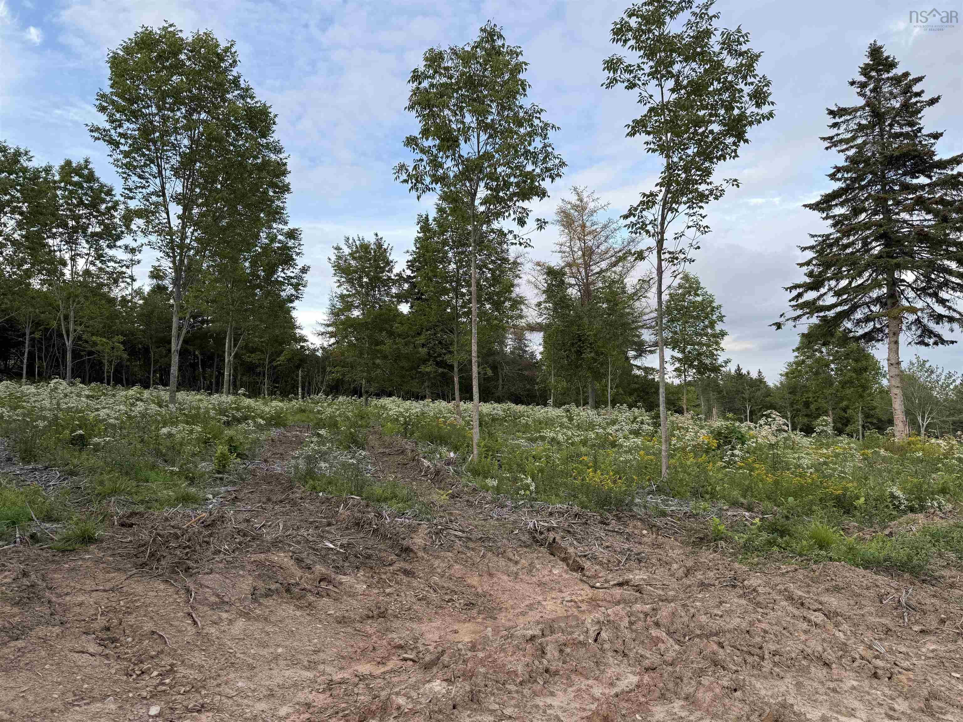 $19,900.00: Lot 28 Mull River Road, Mabou