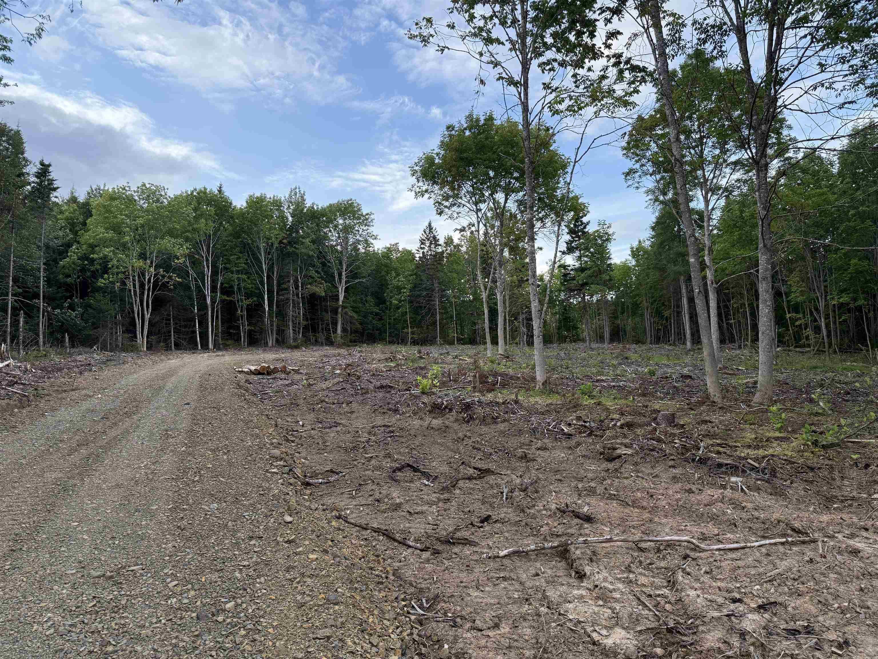 $22,000.00: Lot 29 Mull River Road, Mabou
