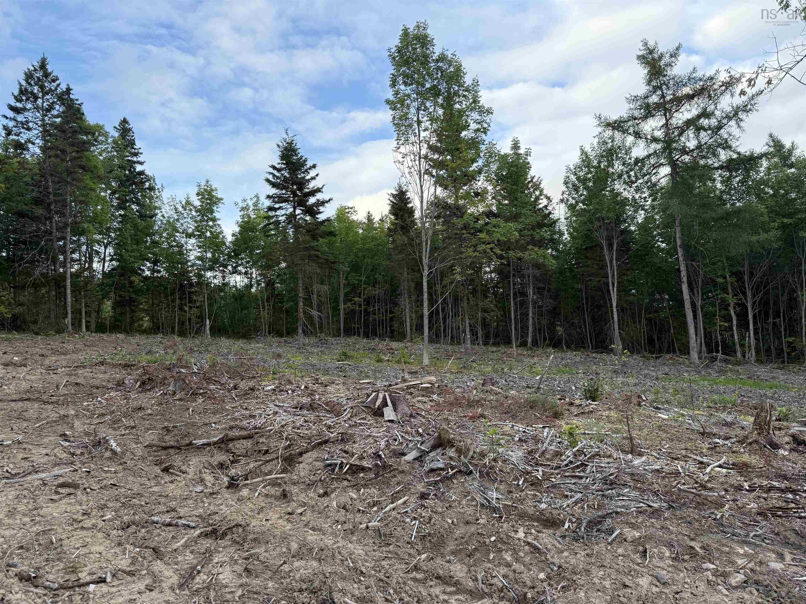 $22,000.00: Lot 29 Mull River Road, Mabou