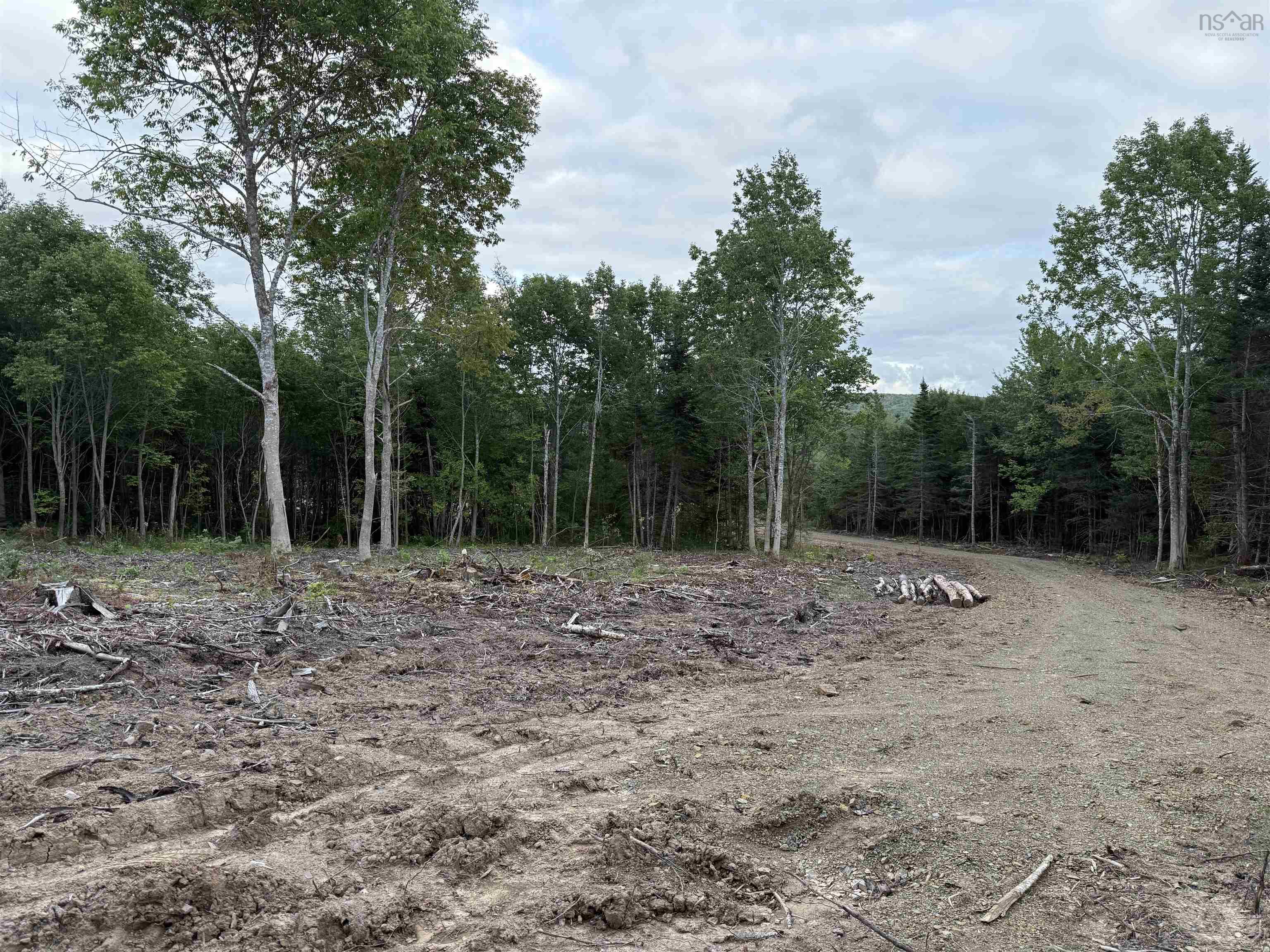 $22,000.00: Lot 29 Mull River Road, Mabou