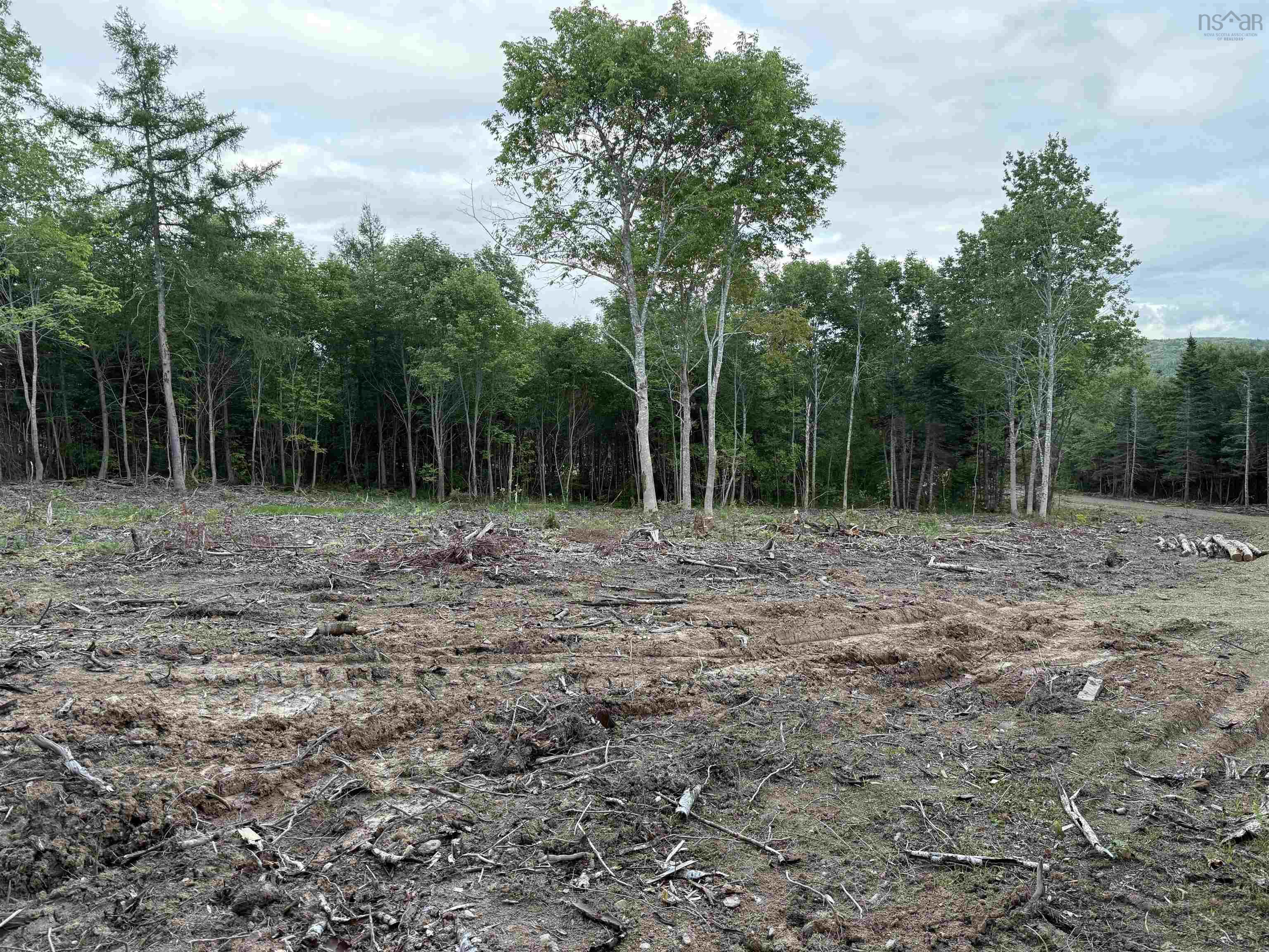 $22,000.00: Lot 29 Mull River Road, Mabou