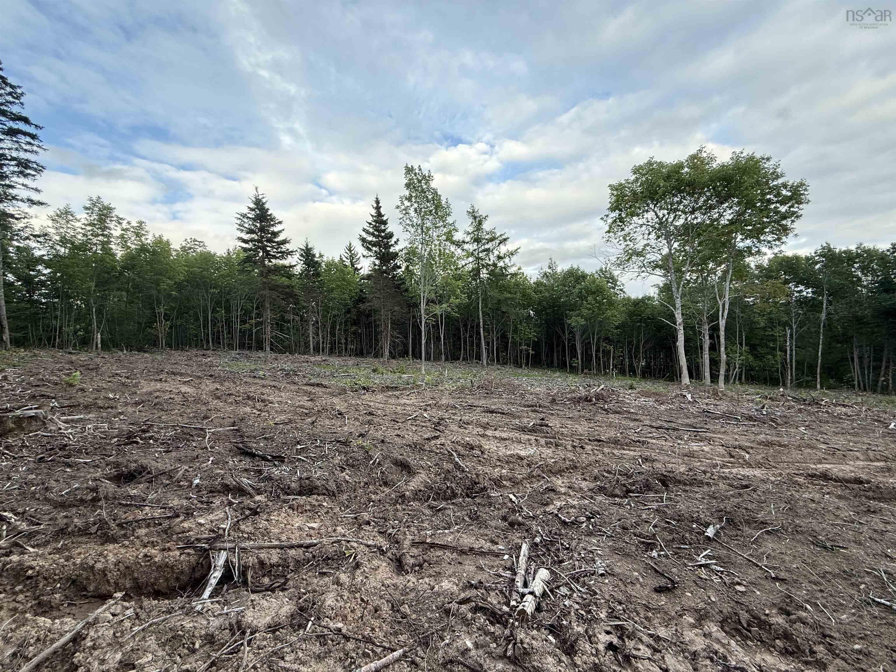 $22,000.00: Lot 29 Mull River Road, Mabou