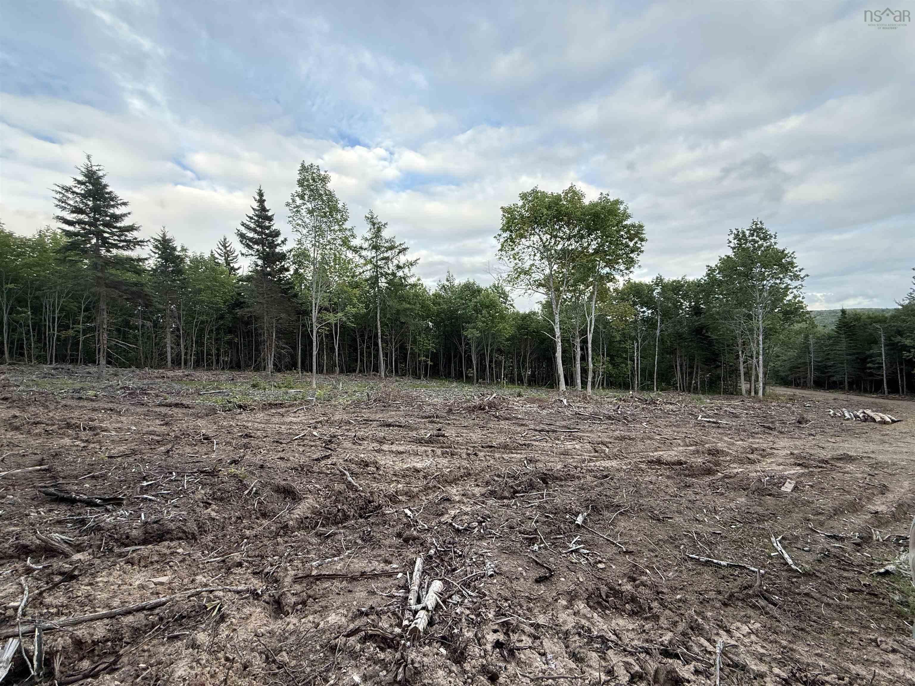 $22,000.00: Lot 29 Mull River Road, Mabou