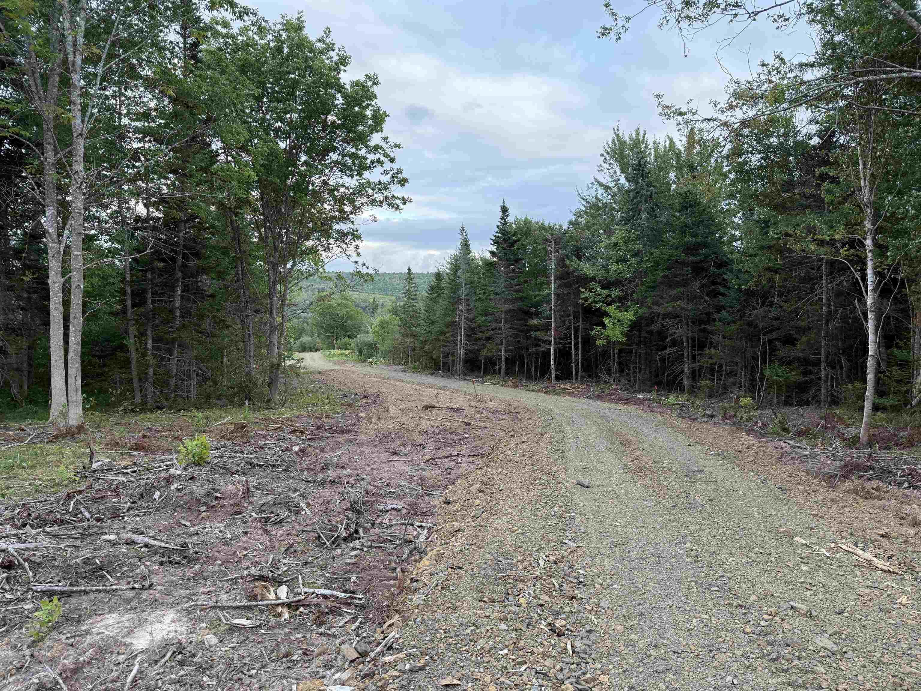 $22,000.00: Lot 29 Mull River Road, Mabou