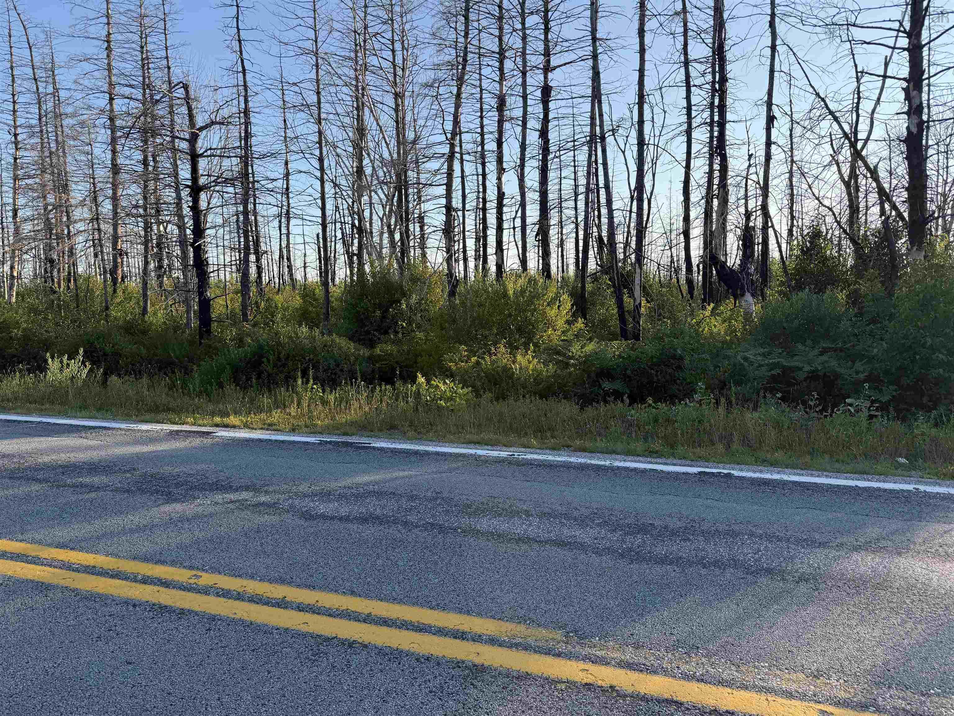 $14,000.00: Lot 28 Swaine