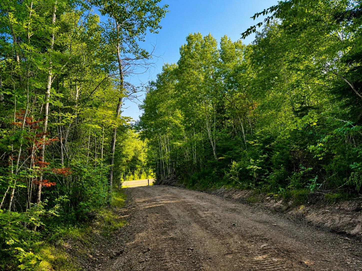 $249,000.00: Marble Mountain Road, Marble Mountain