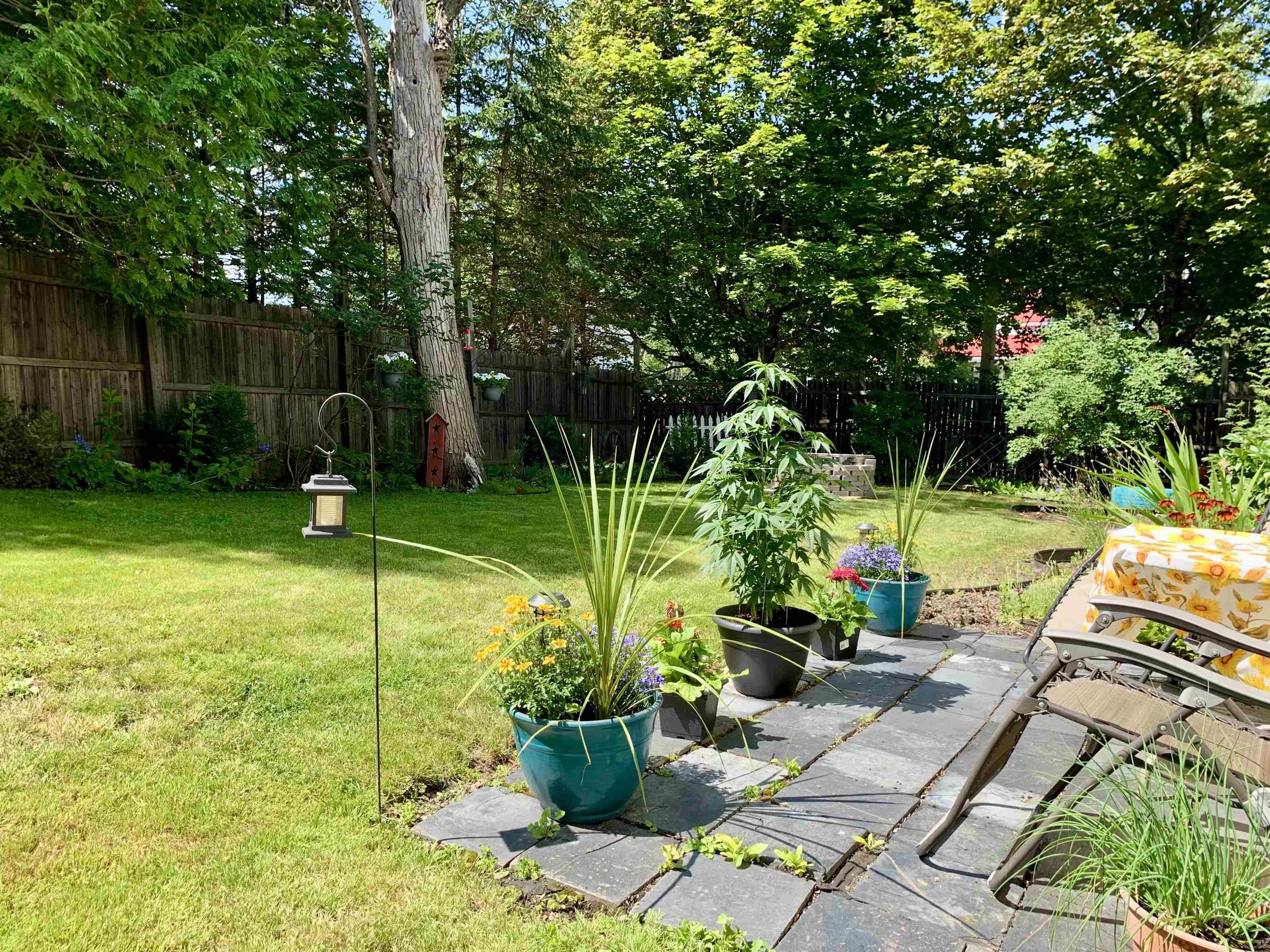 $139,900.00: 26 Starr Street, Springhill