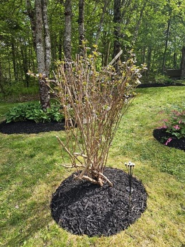 $590,000.00: 65 Beamish Road, East Uniacke