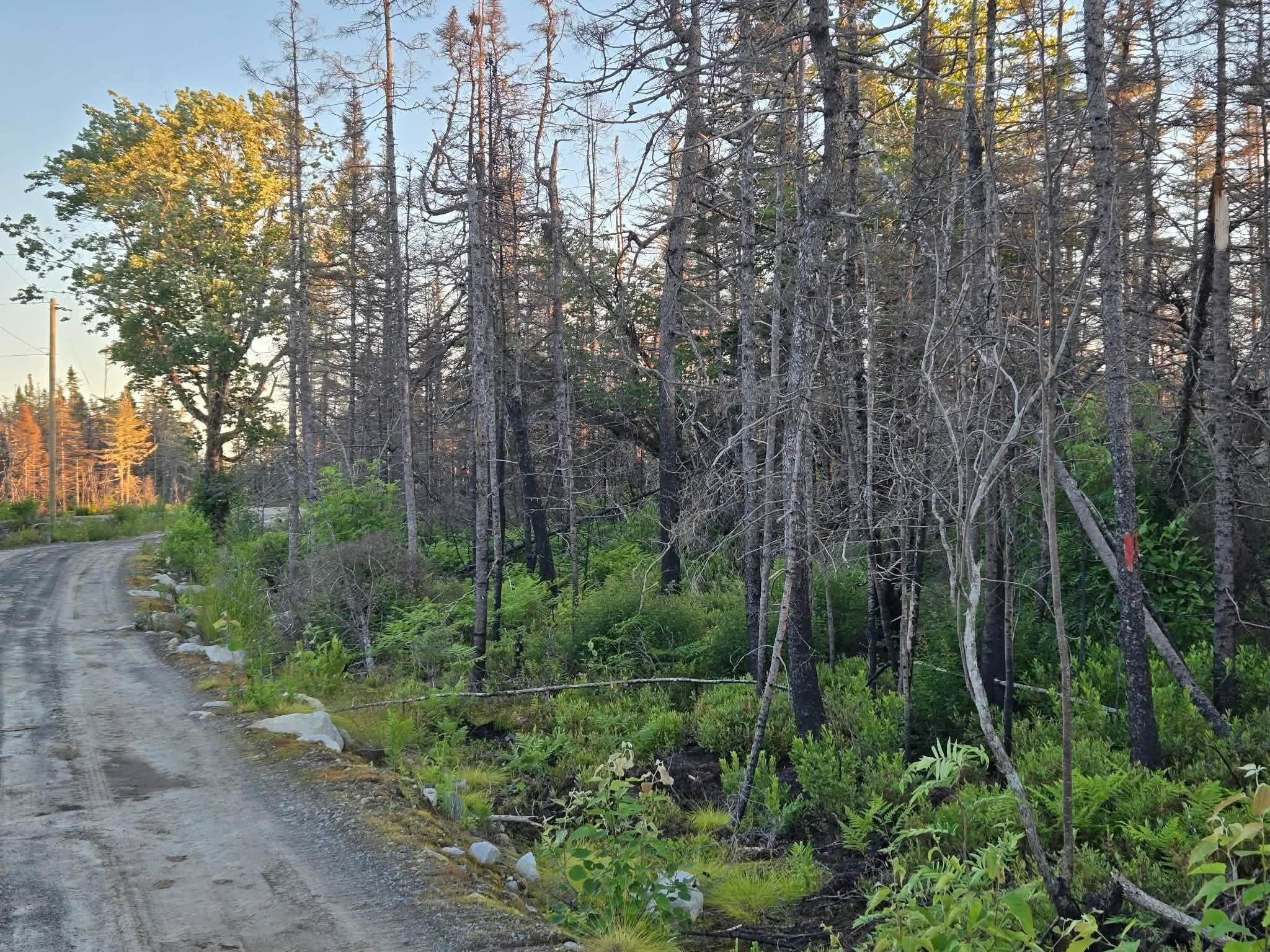 $100,000.00: Lot M-3 2640 West Sable Road, Little Harbour