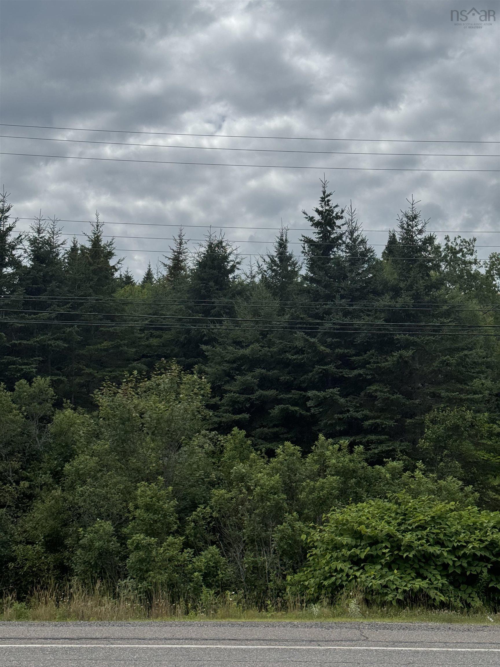 496 Highway 4, Folly Lake, NS (MLS 202618784)