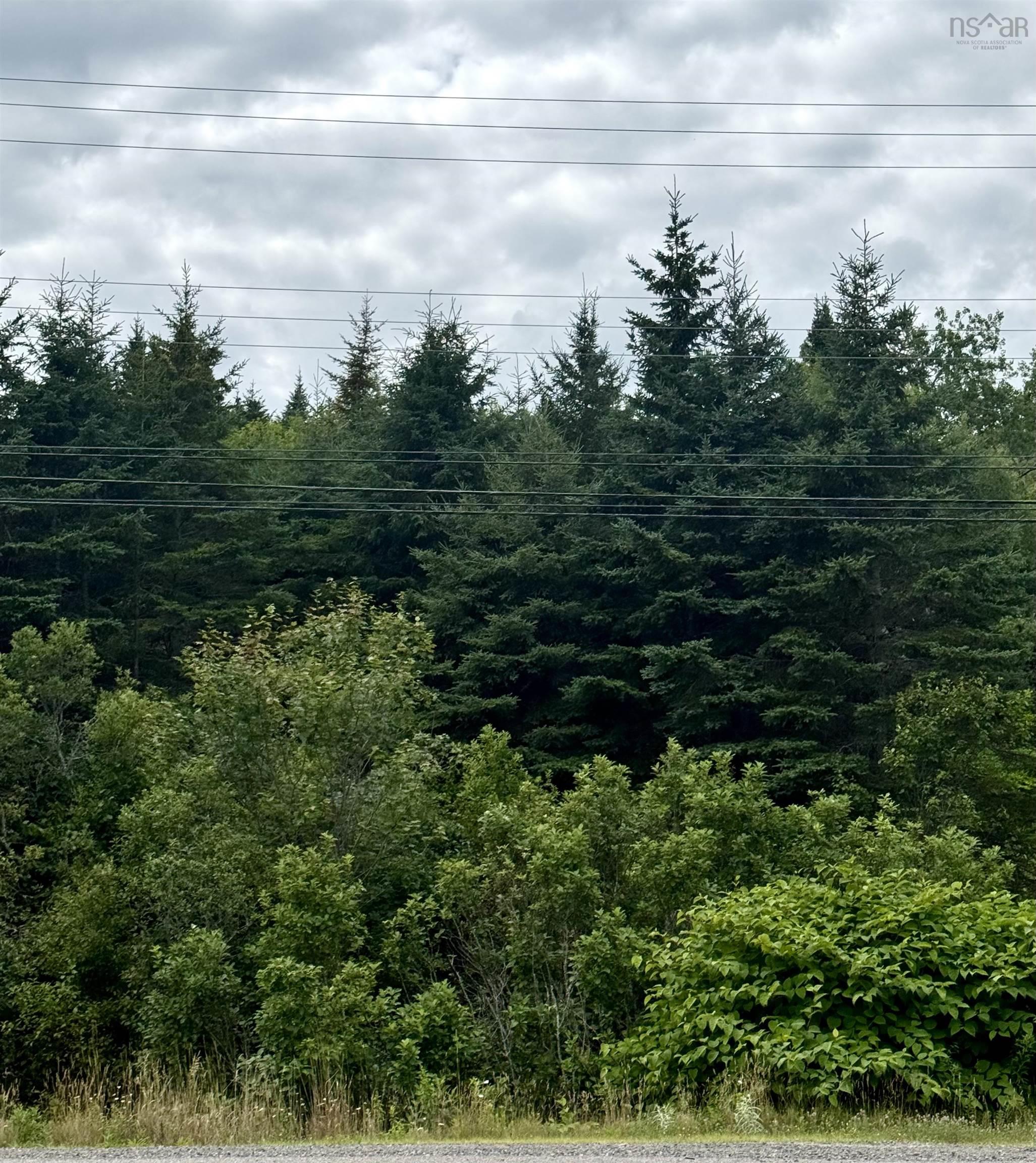 496 Highway 4, Folly Lake, NS (MLS 202618784)