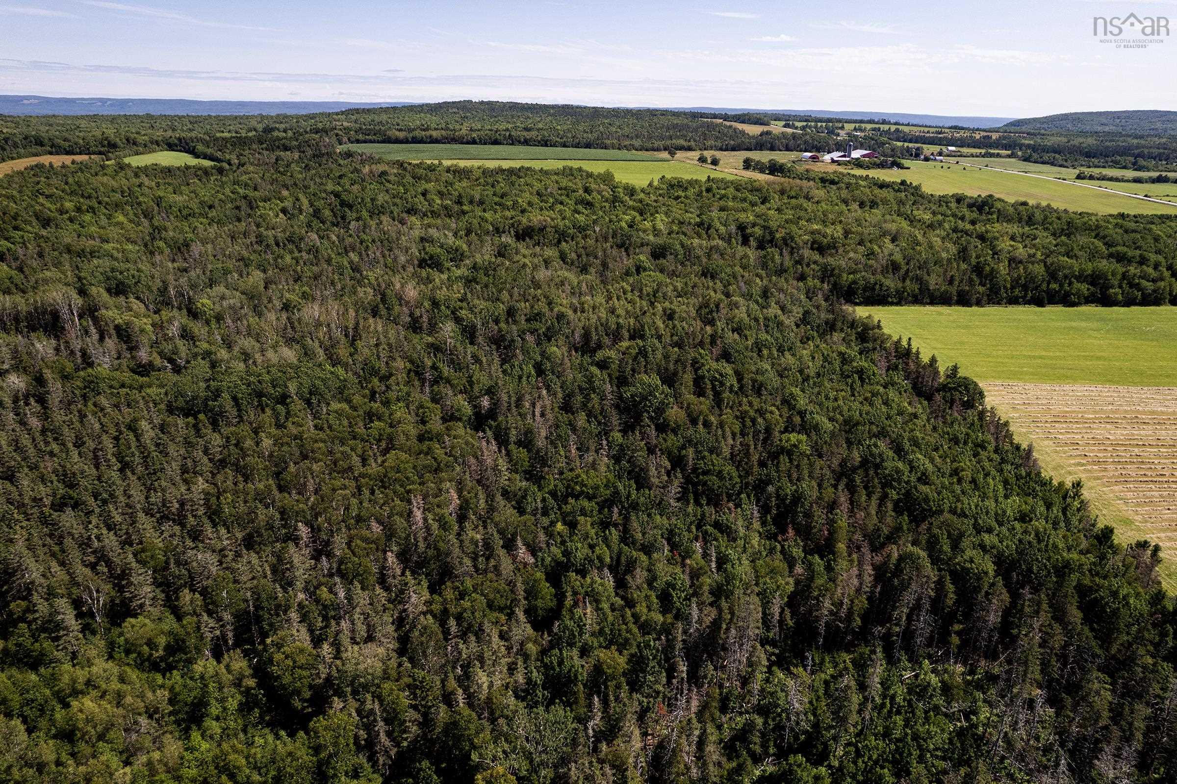 $109,500.00: Lot Delusion Road, Moshers Corner