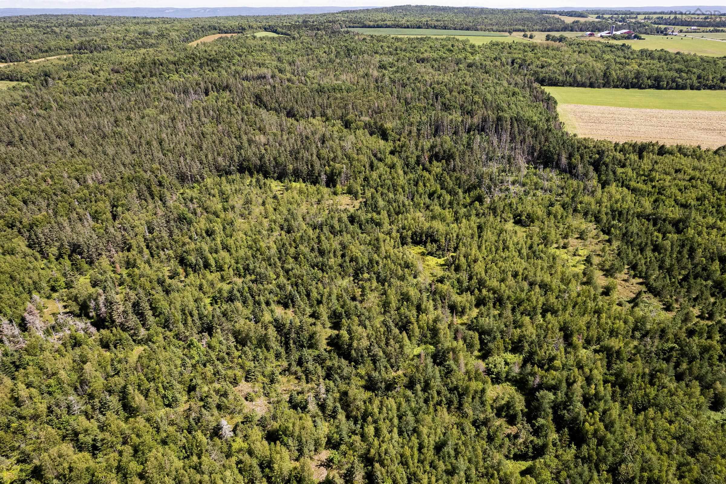 $109,500.00: Lot Delusion Road, Moshers Corner