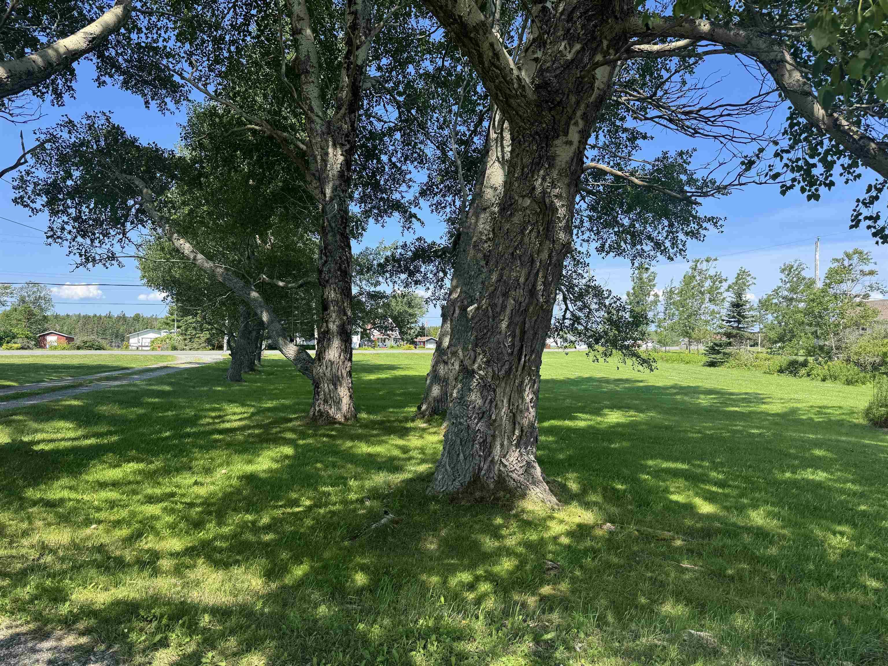 $199,000.00: 776 Alder Point Road, Alder Point