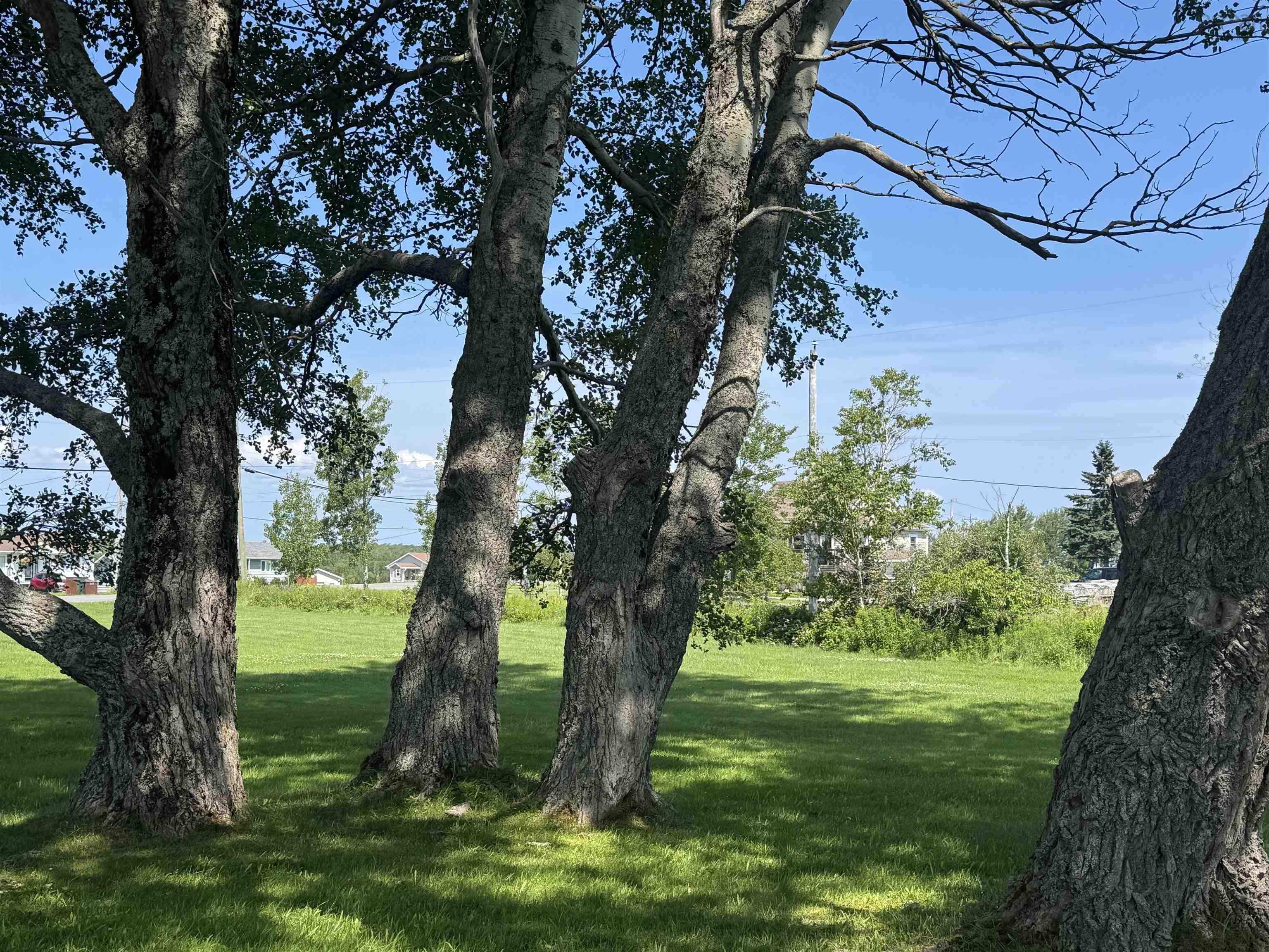 $199,000.00: 776 Alder Point Road, Alder Point