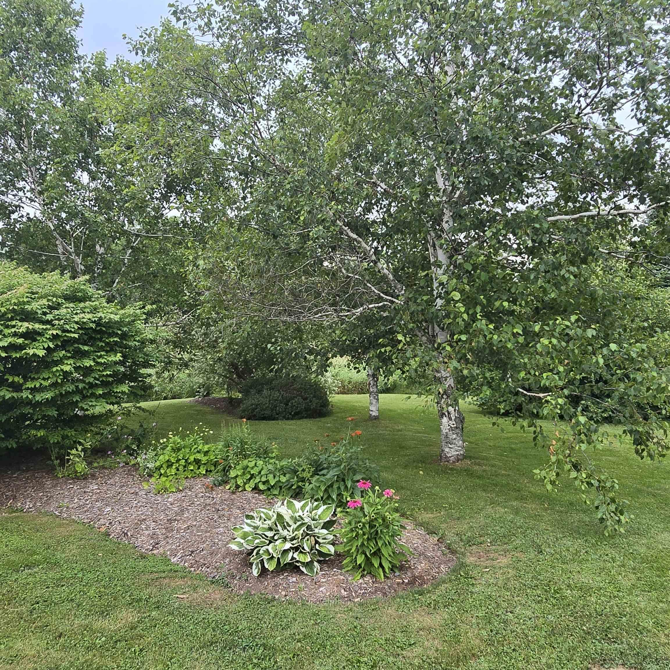 $545,000.00: 263 Old Pinevale Road, Pinevale