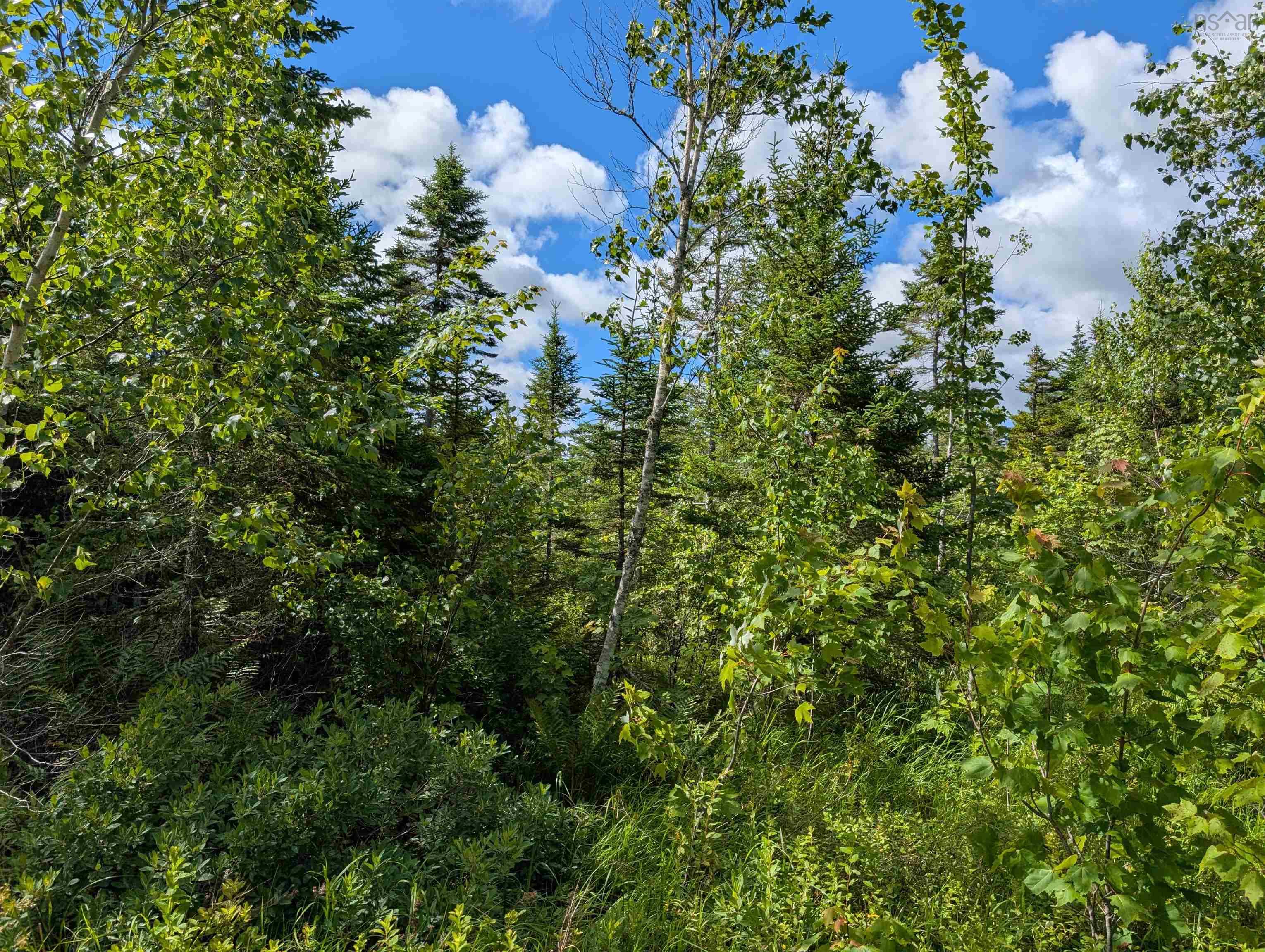 $200,000.00: 80 Acres Dalrymple Rd Road, Maple Grove