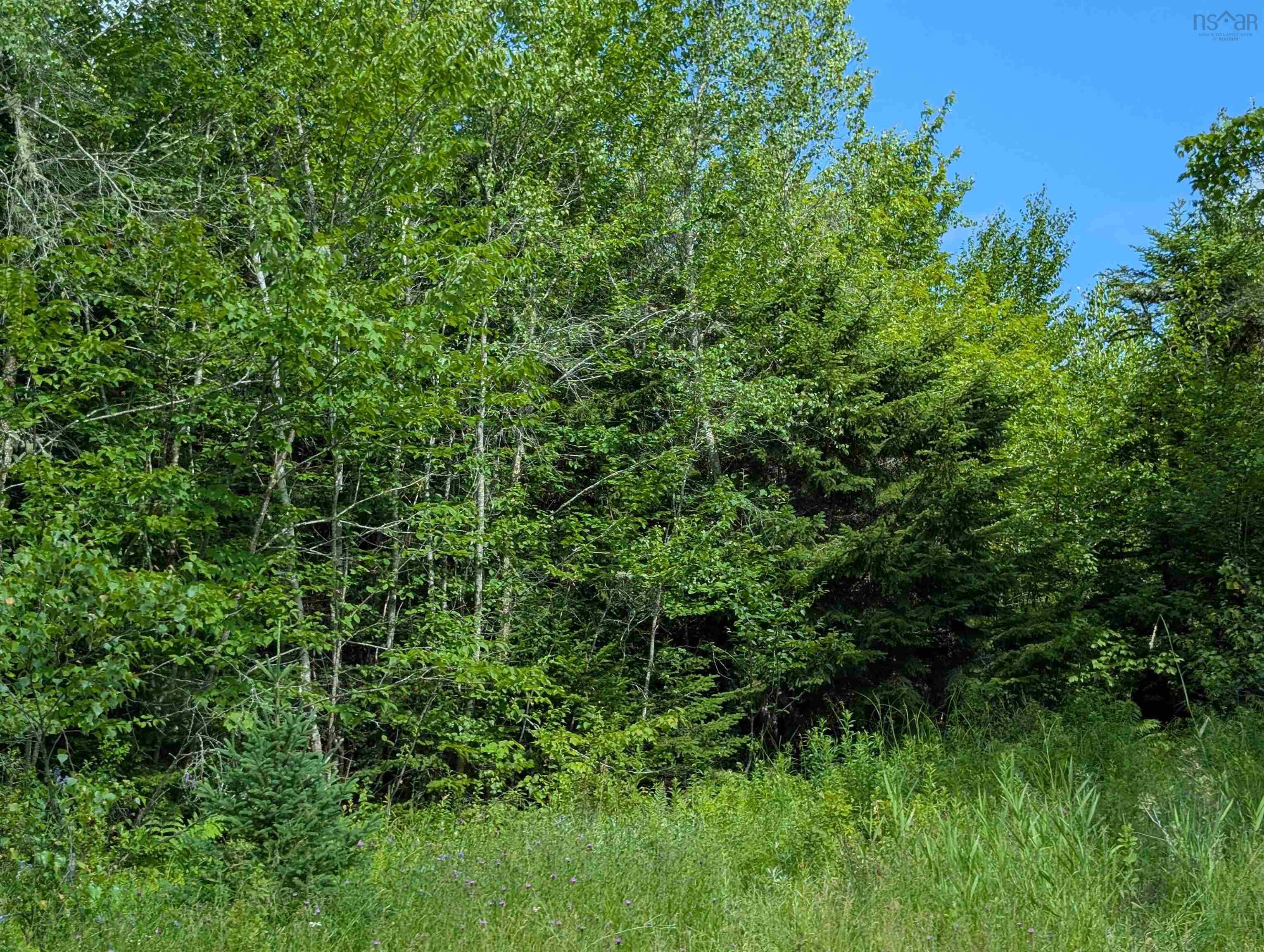 $200,000.00: 80 Acres Dalrymple Rd Road, Maple Grove