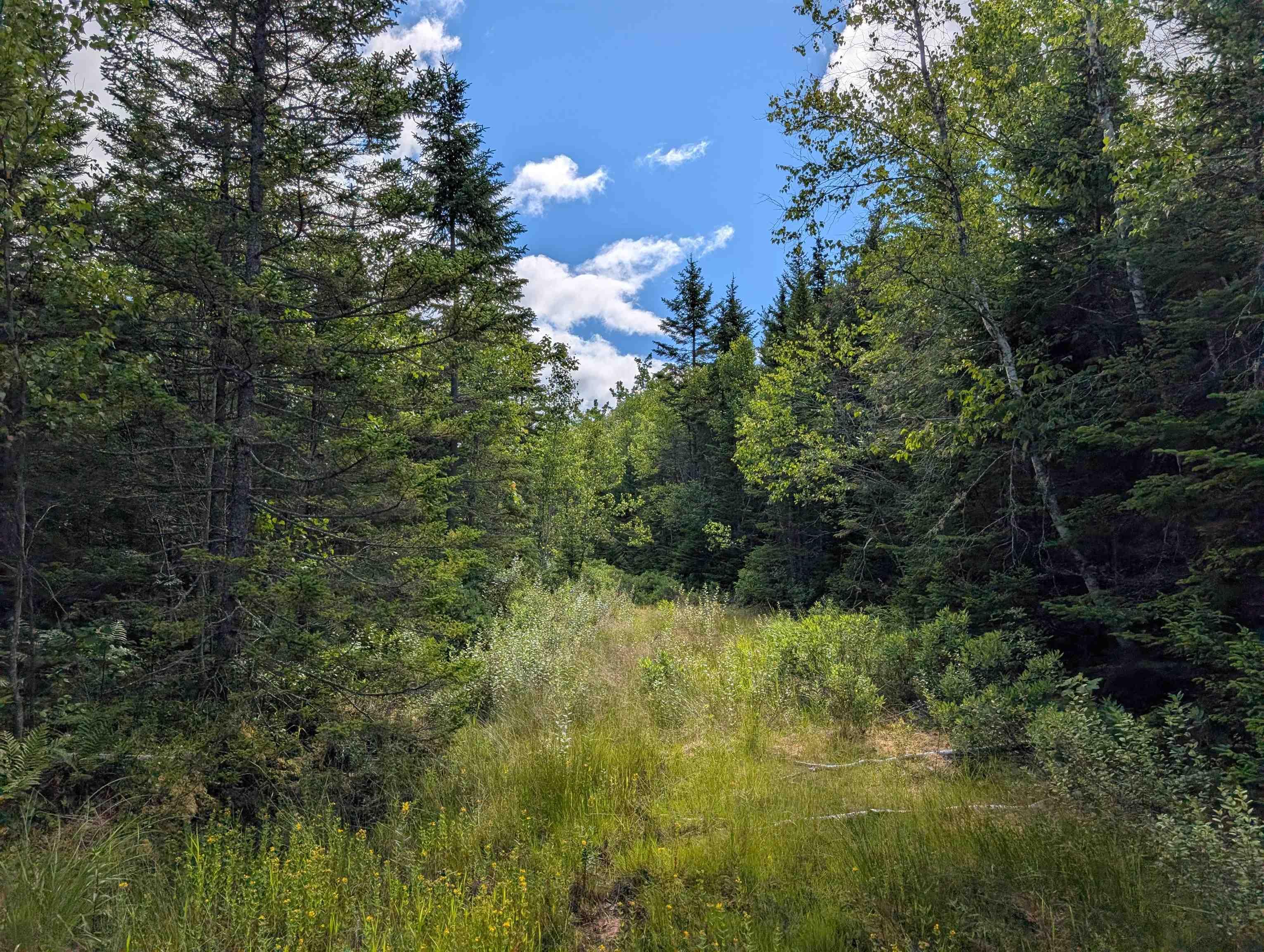 $200,000.00: 80 Acres Dalrymple Rd Road, Maple Grove