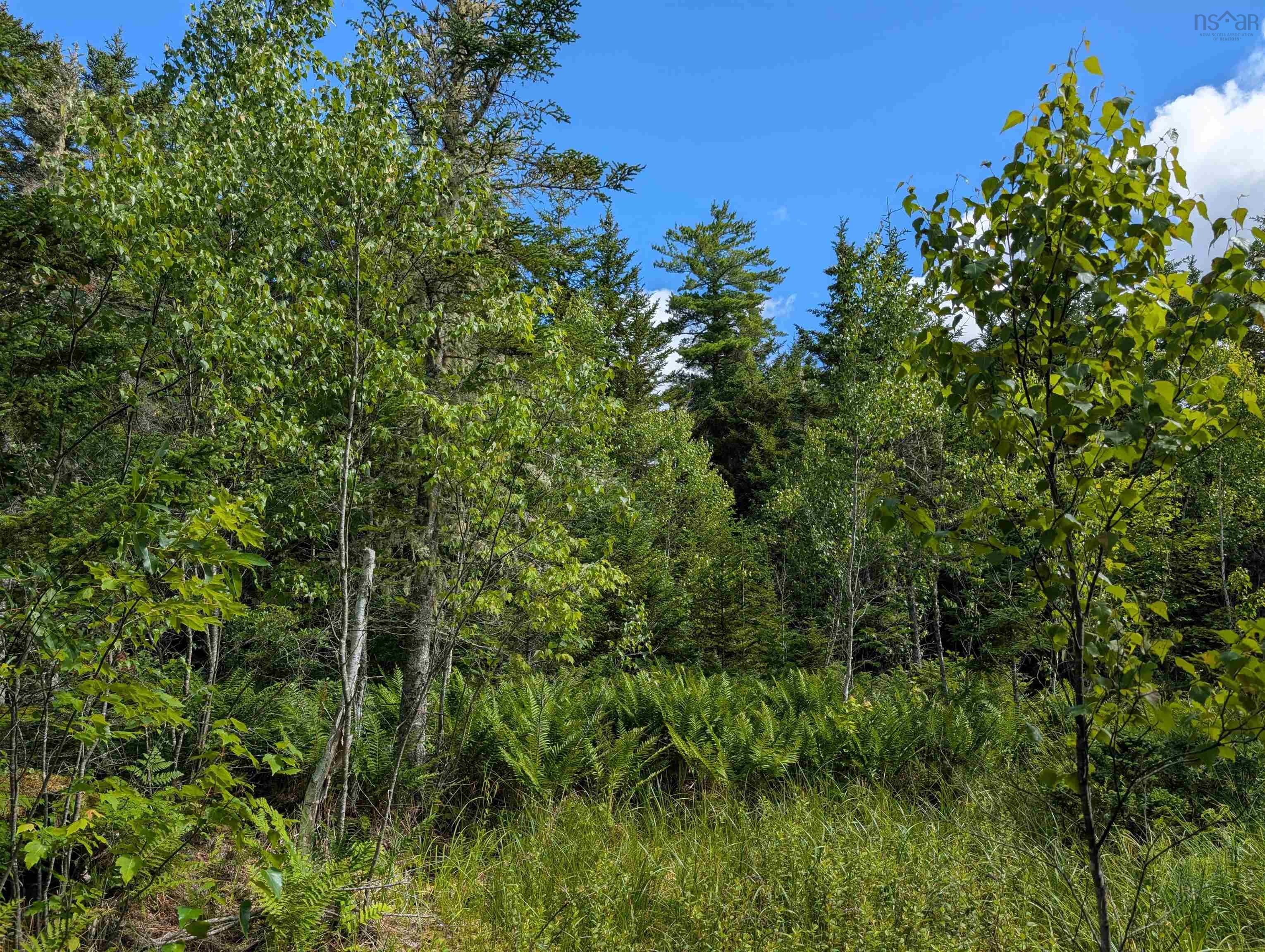 $200,000.00: 80 Acres Dalrymple Rd Road, Maple Grove