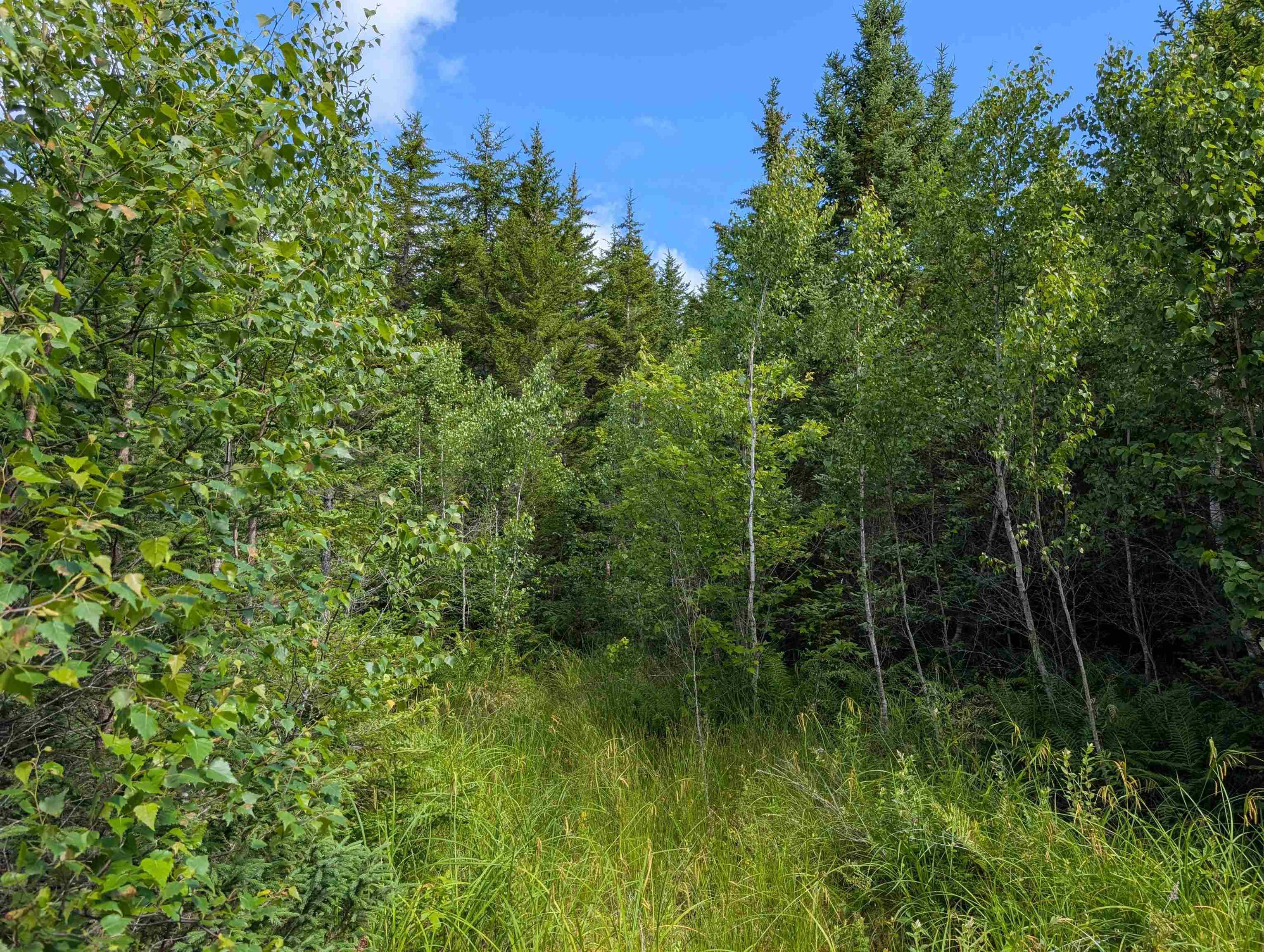 $200,000.00: 80 Acres Dalrymple Rd Road, Maple Grove