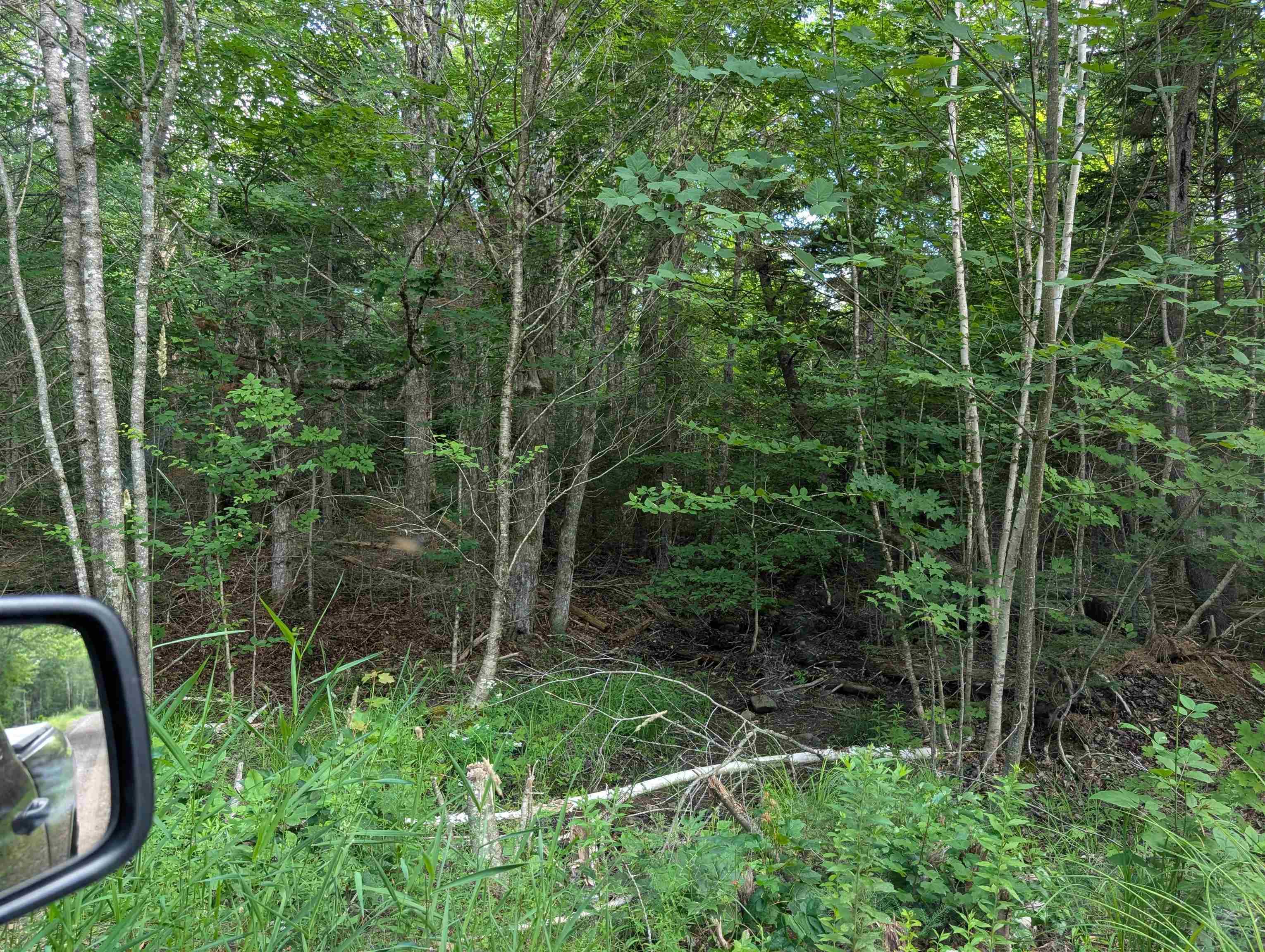 $200,000.00: 80 Acres Dalrymple Rd Road, Maple Grove