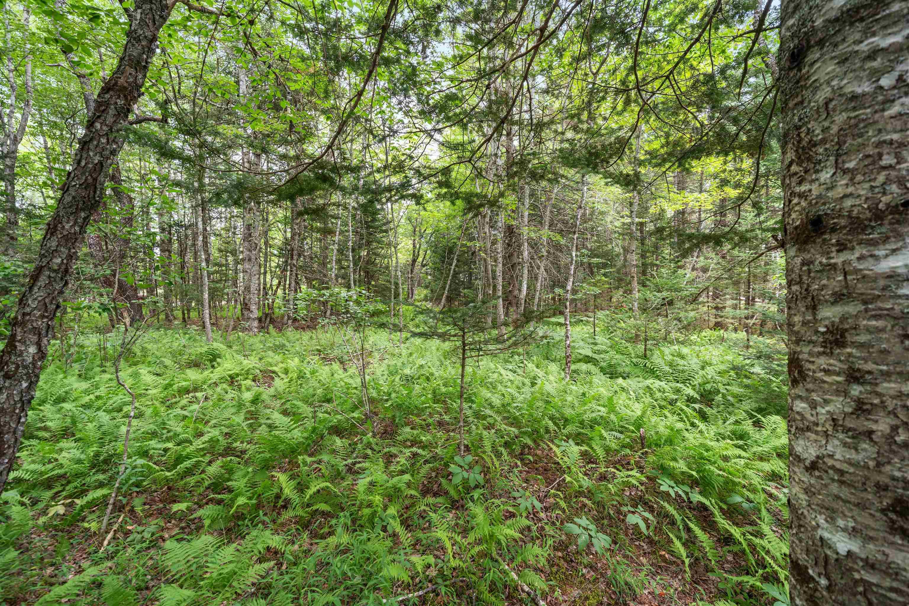 $399,900.00: 1536 Stewiacke Road, West St. Andrews