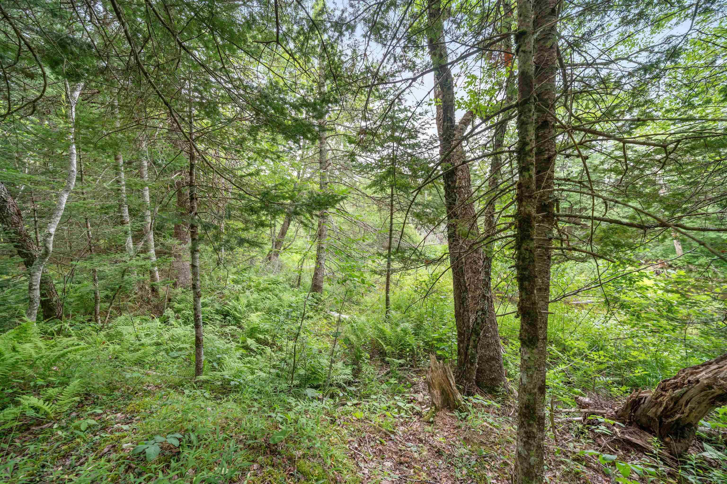 $399,900.00: 1536 Stewiacke Road, West St. Andrews