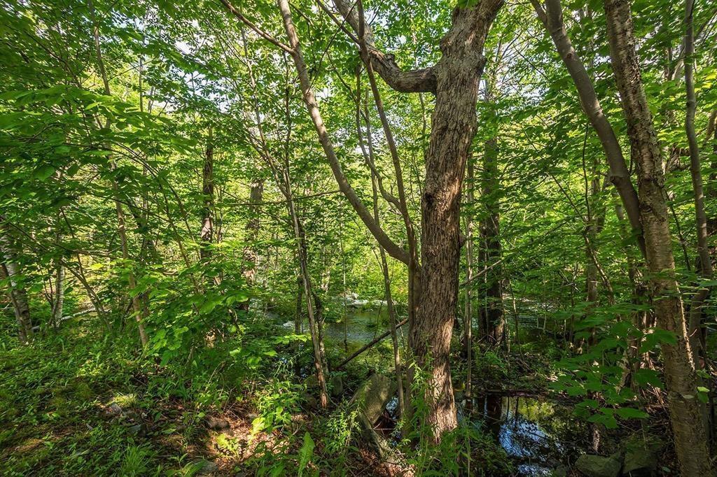 1 41 Moirs Mill Road, Bedford, NS (MLS 202619023)