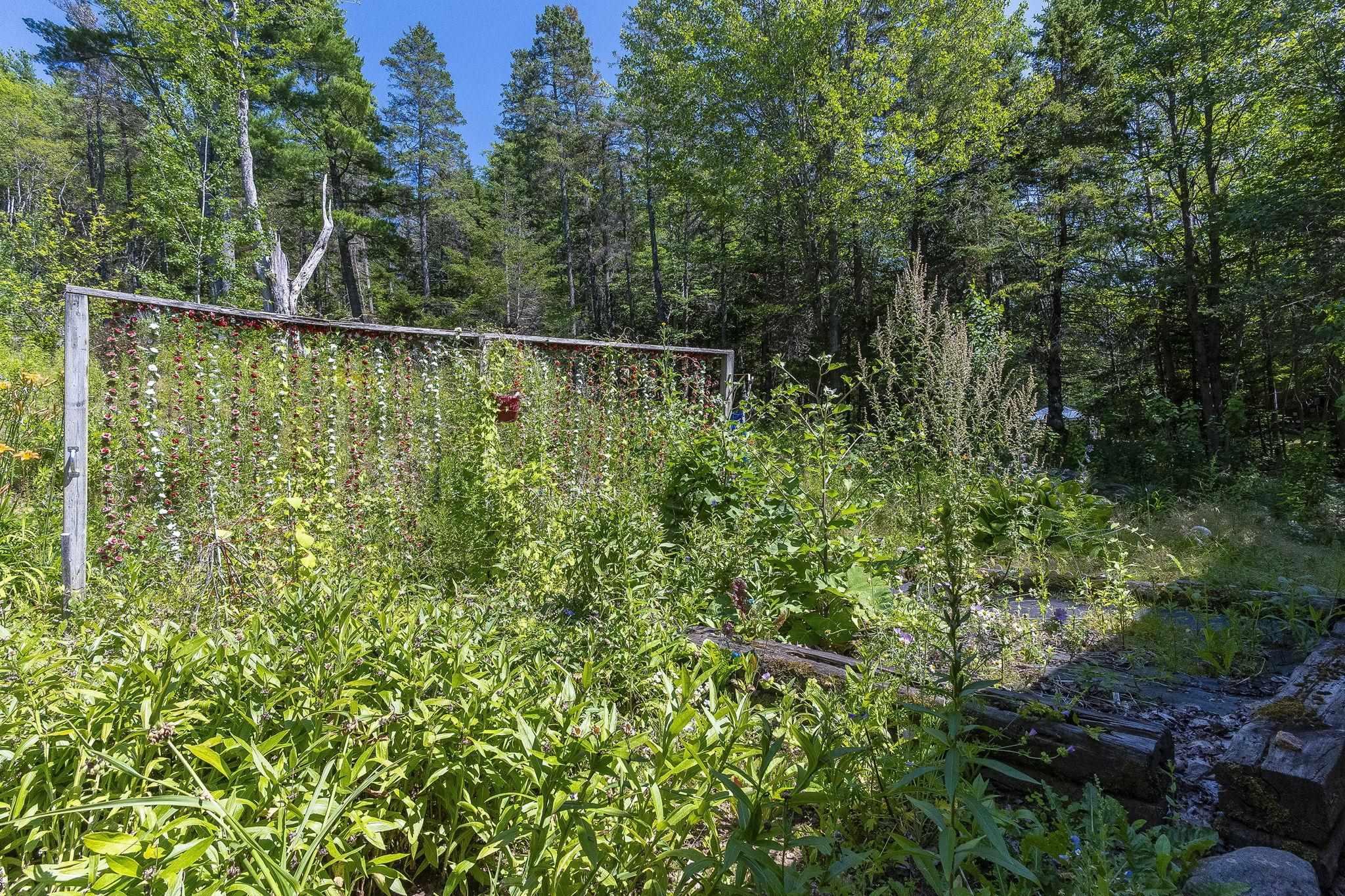 $300,000.00: 258 Trout Lake Road, West Inglisville