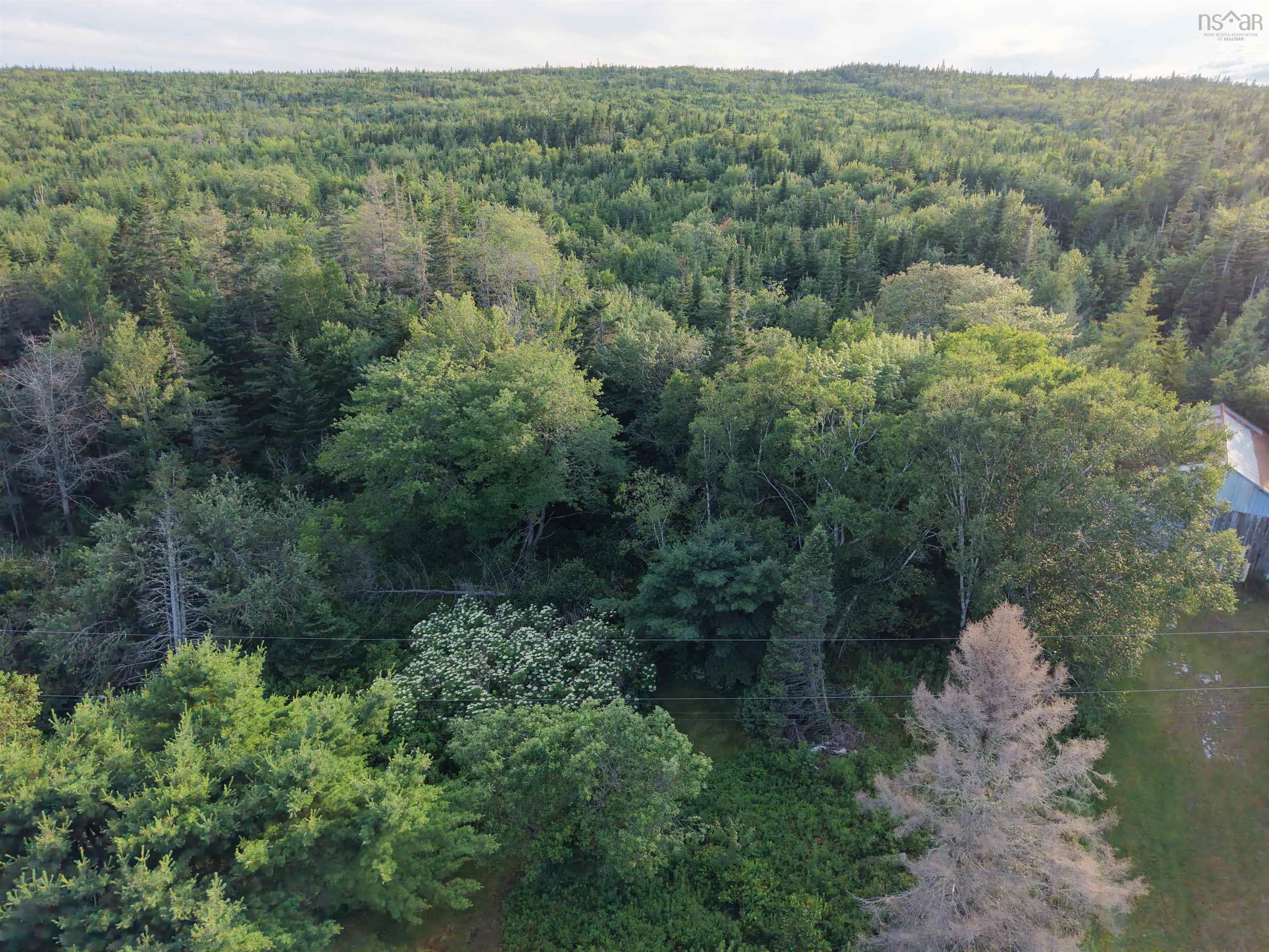 $49,900.00: 13713 Highway 316, Isaacs Harbour