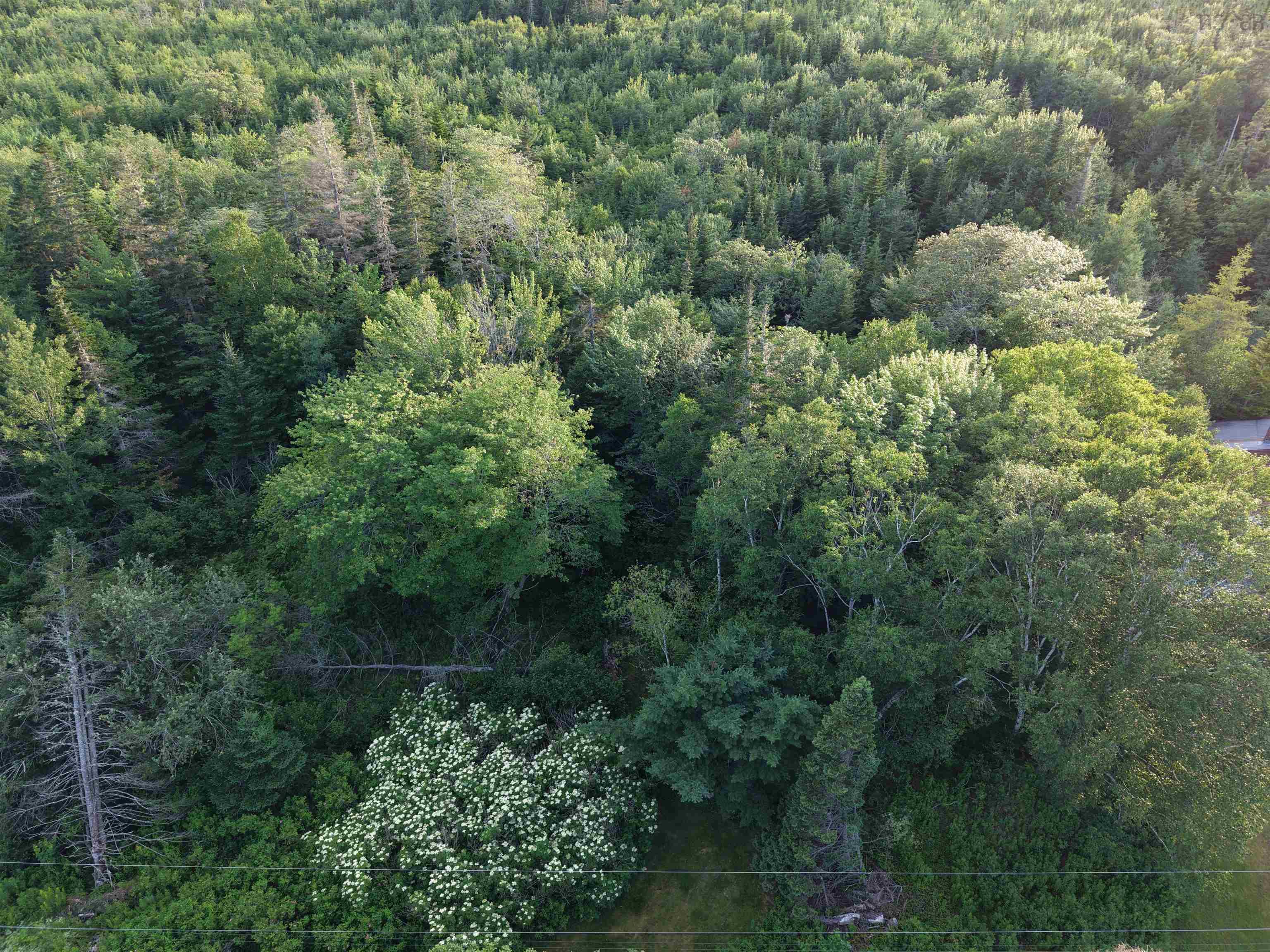 $49,900.00: 13713 Highway 316, Isaacs Harbour