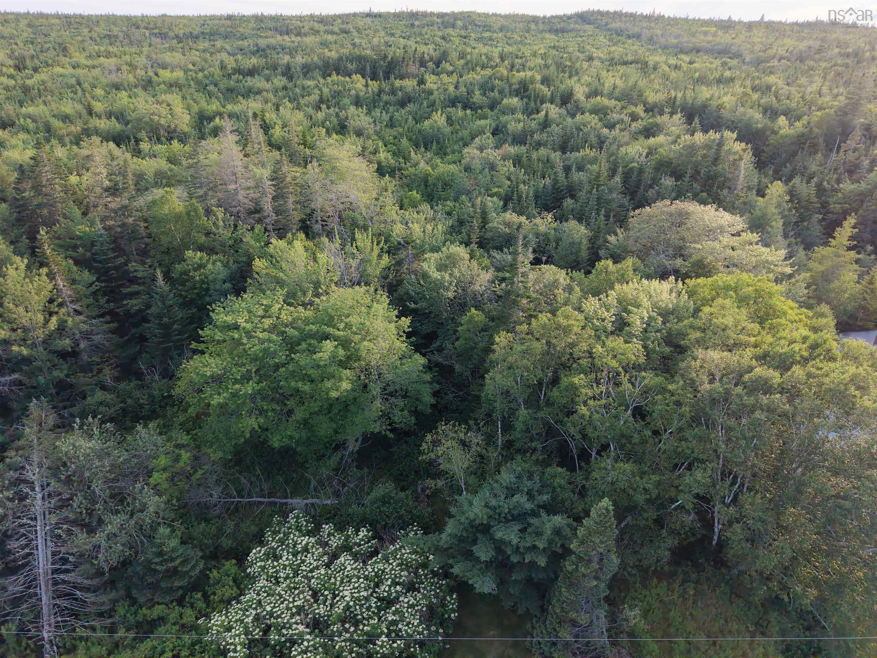 $49,900.00: 13713 Highway 316, Isaacs Harbour