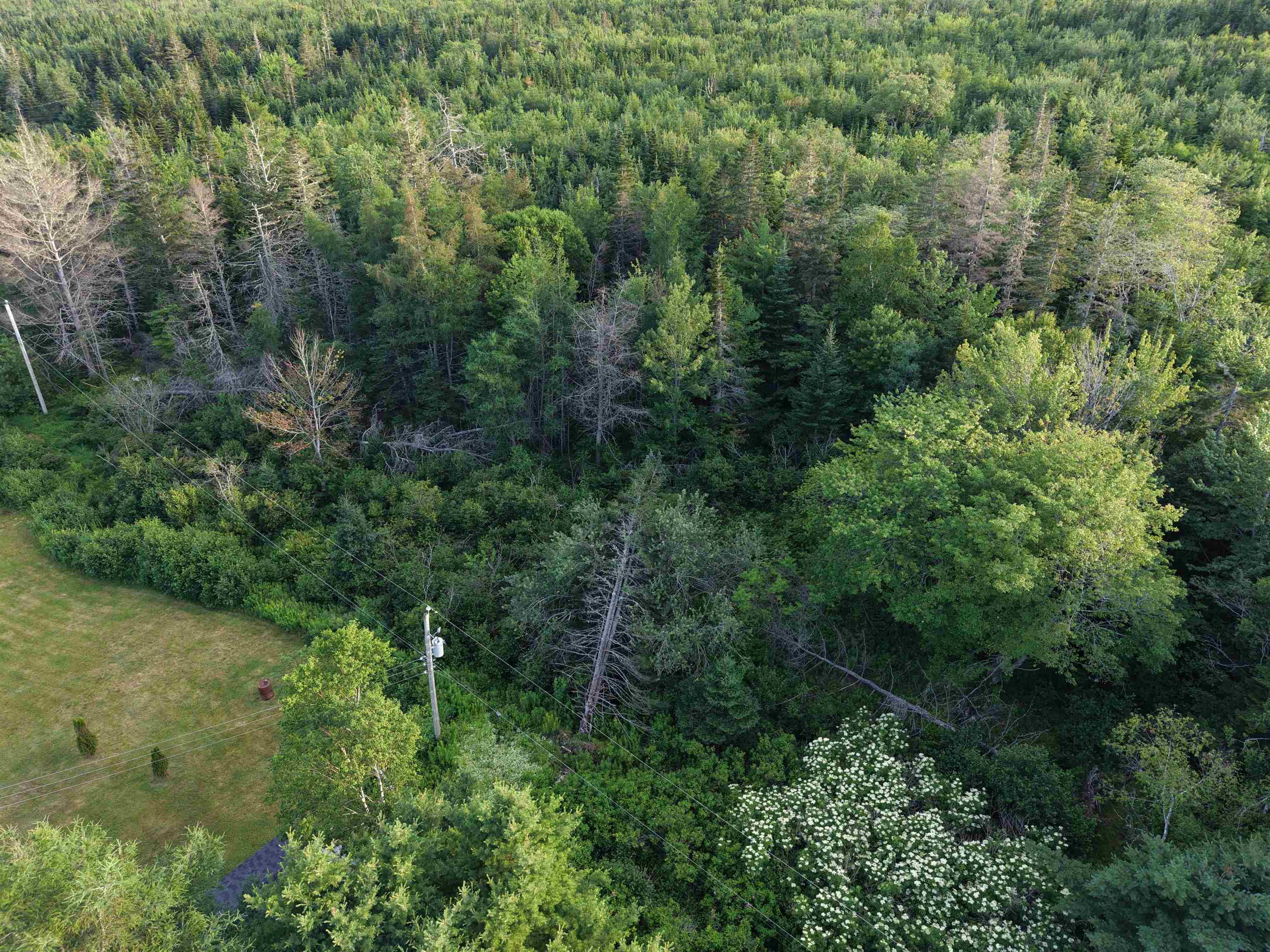 $49,900.00: 13713 Highway 316, Isaacs Harbour