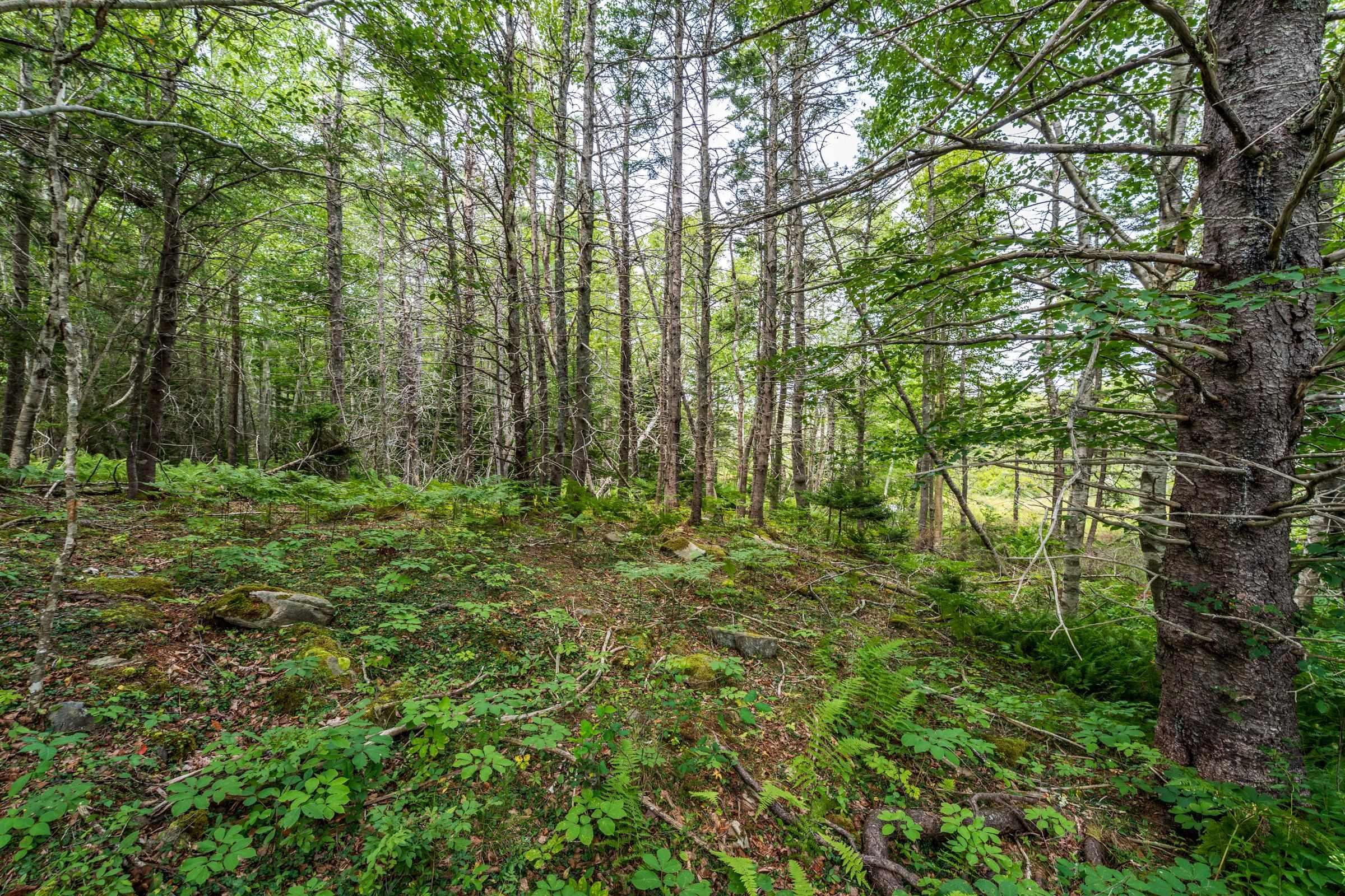 $74,900.00: Lot 807 Hardwood Hills Road, Plymouth