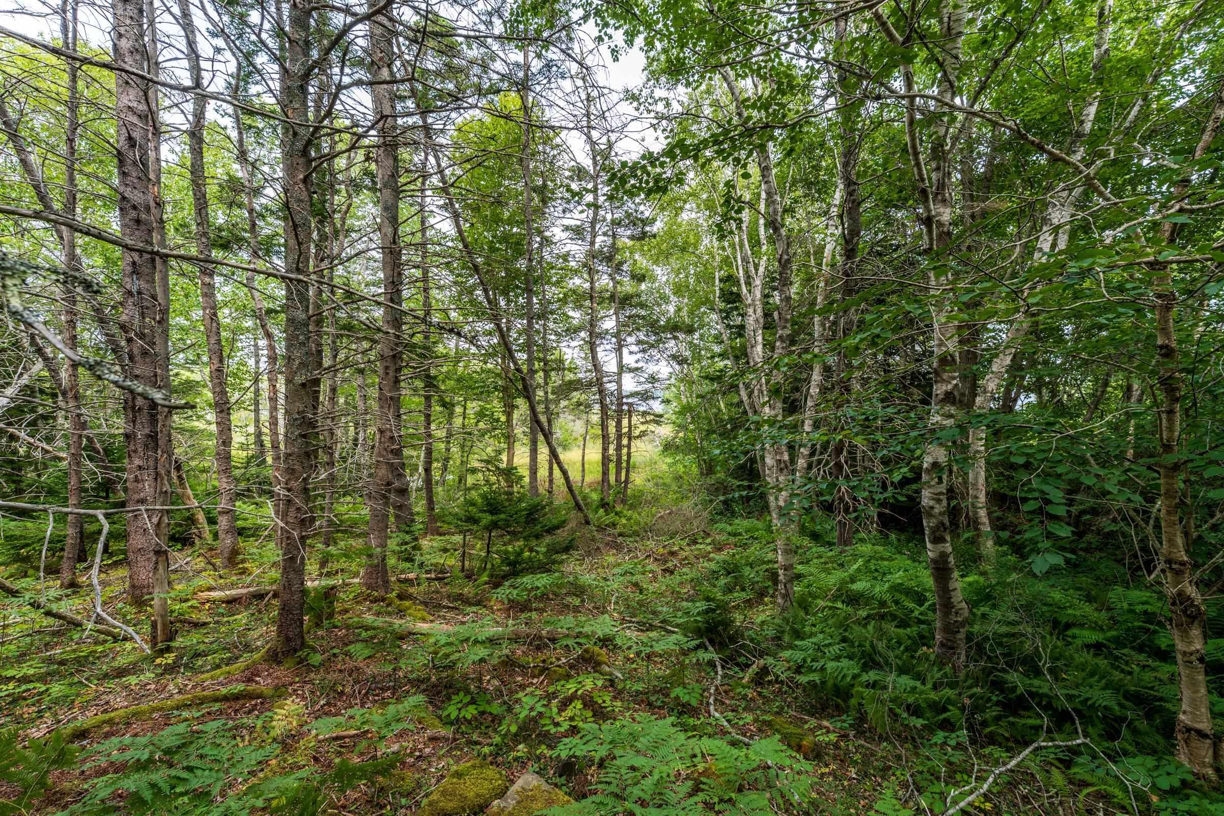 $74,900.00: Lot 807 Hardwood Hills Road, Plymouth