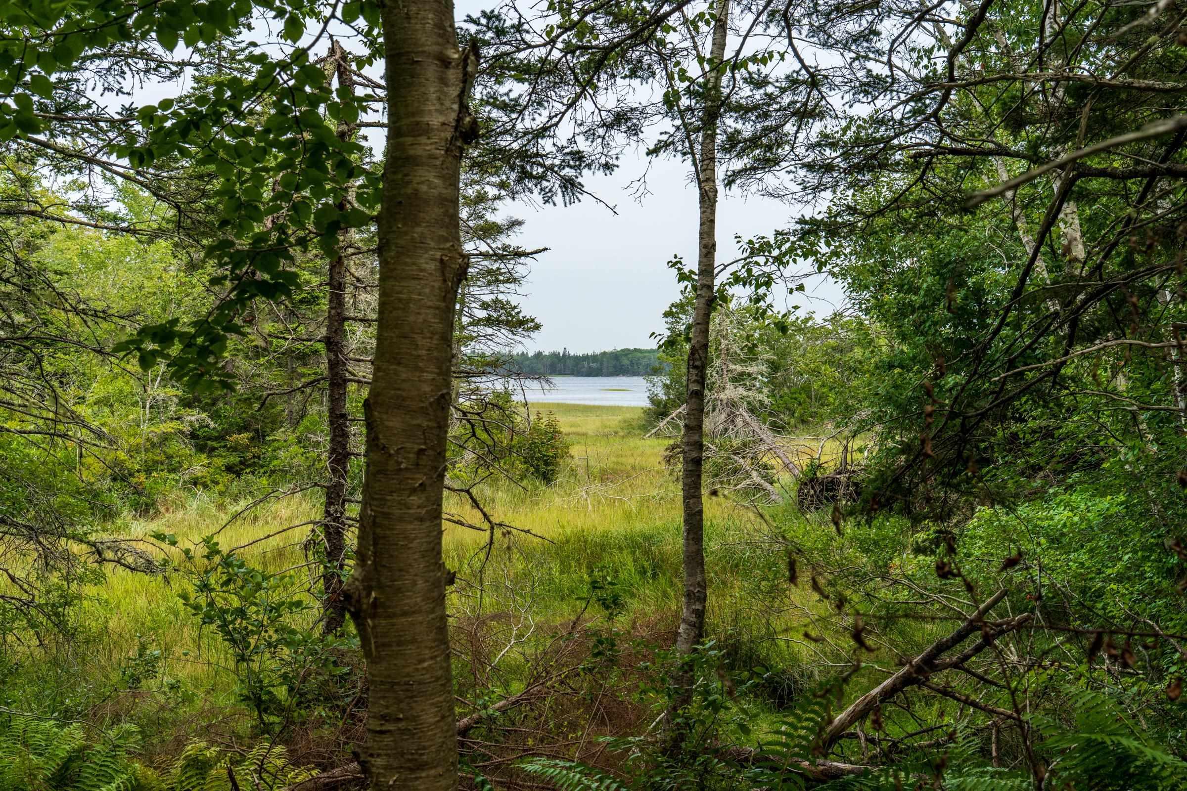 $74,900.00: Lot 807 Hardwood Hills Road, Plymouth