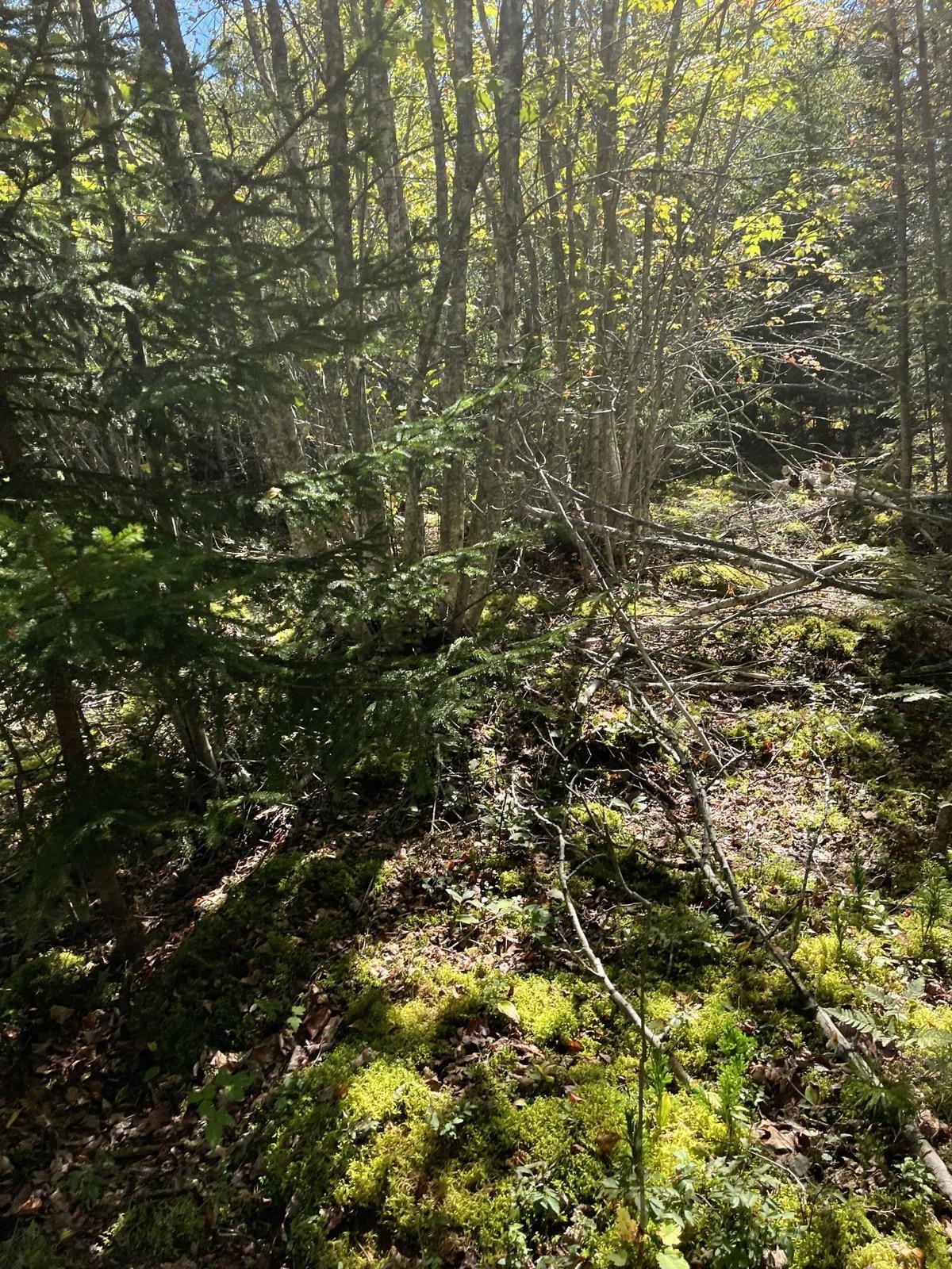 $89,900.00: Lot 2026 Perotte Road, Perotte