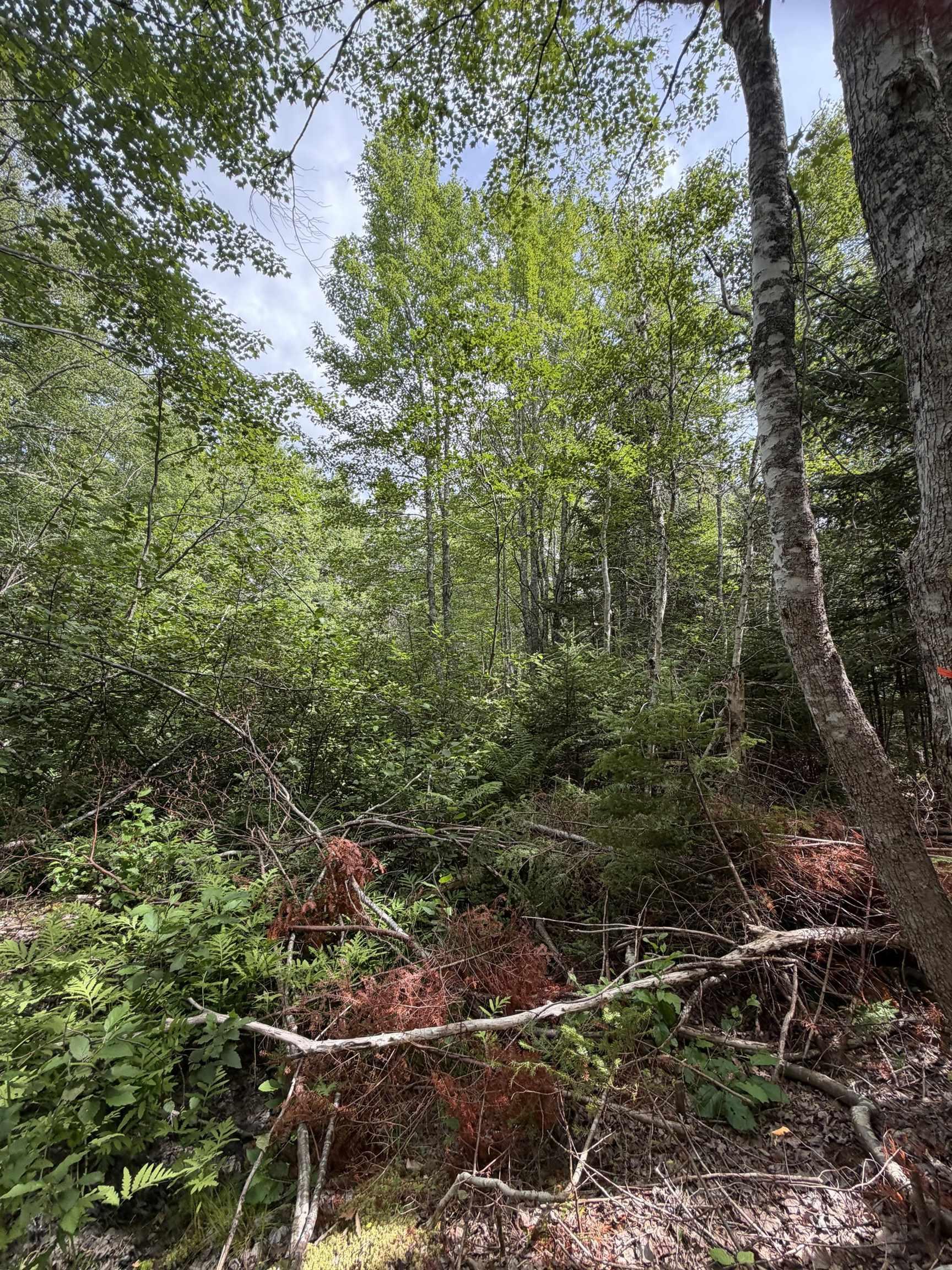 $89,900.00: Lot 2026 Perotte Road, Perotte
