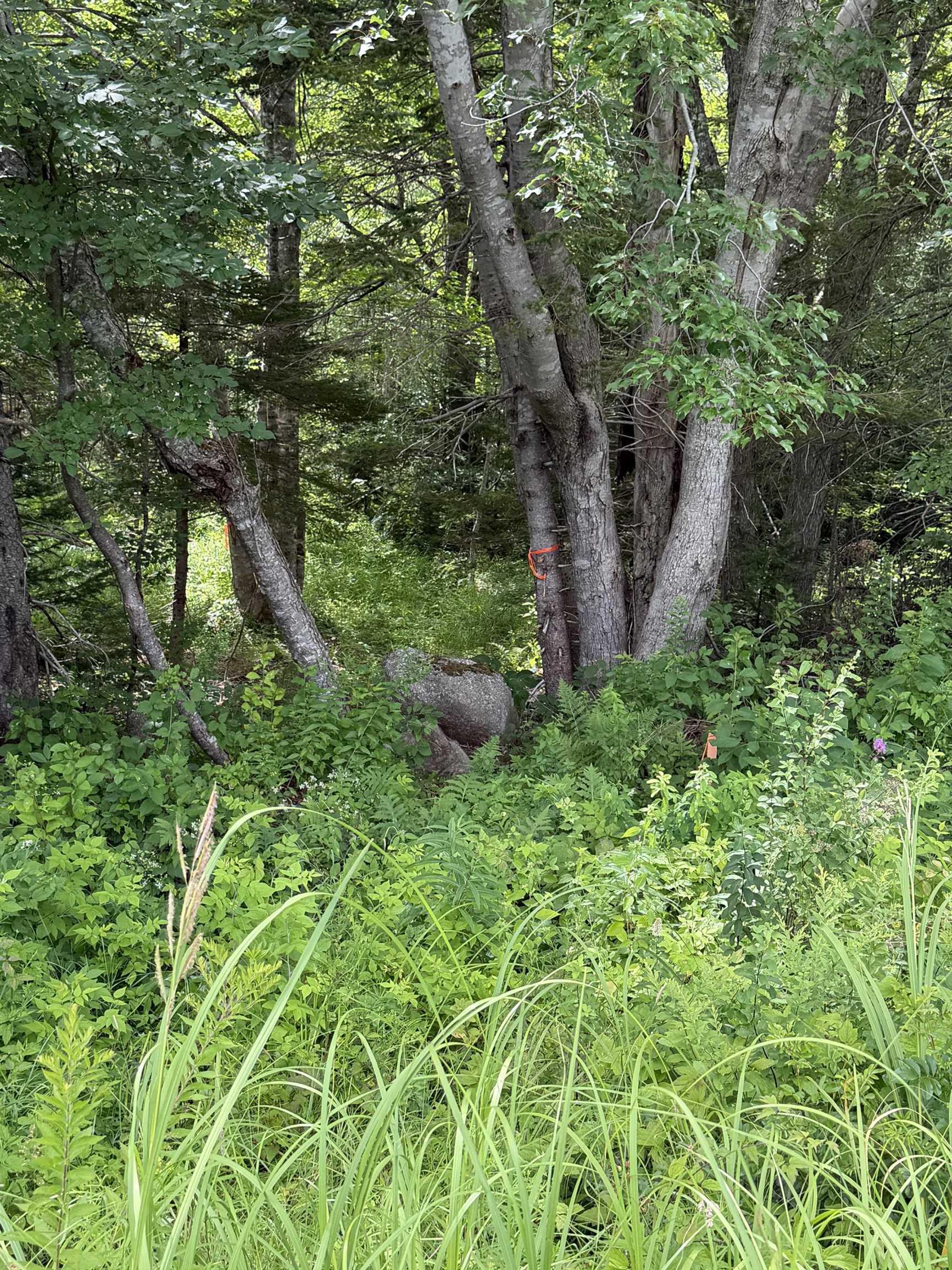 $89,900.00: Lot 2026 Perotte Road, Perotte