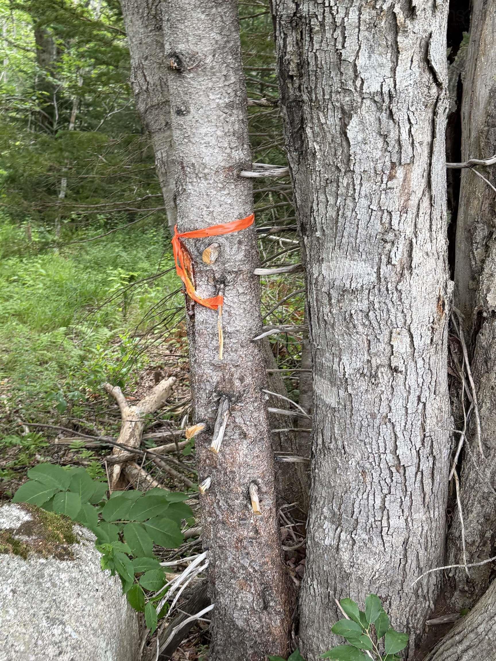 $89,900.00: Lot 2026 Perotte Road, Perotte