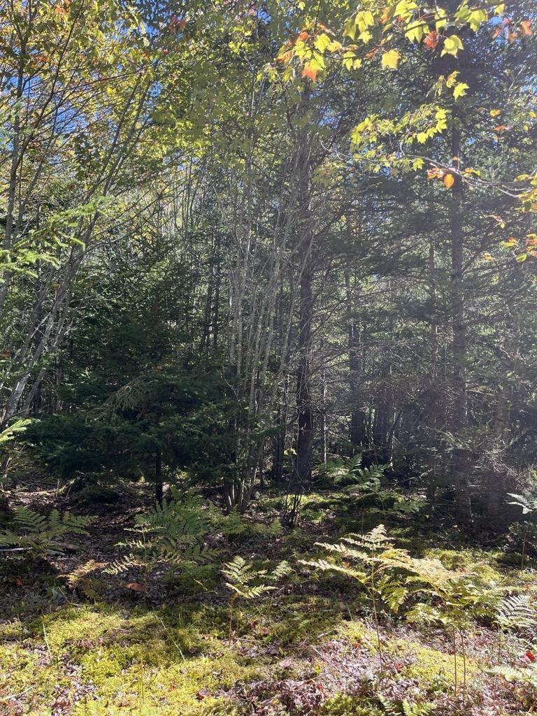 $89,900.00: Lot 2026 Perotte Road, Perotte